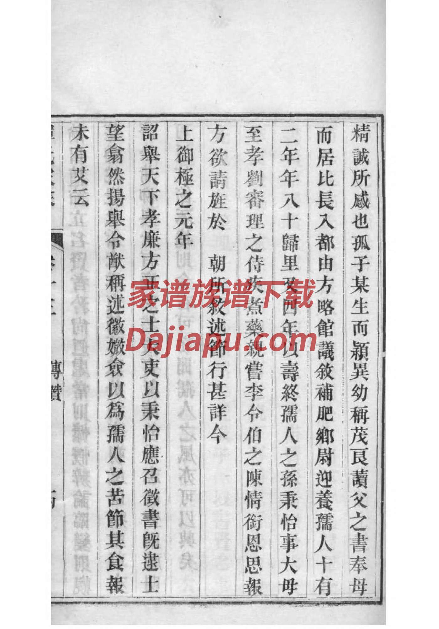 费姓家谱查询