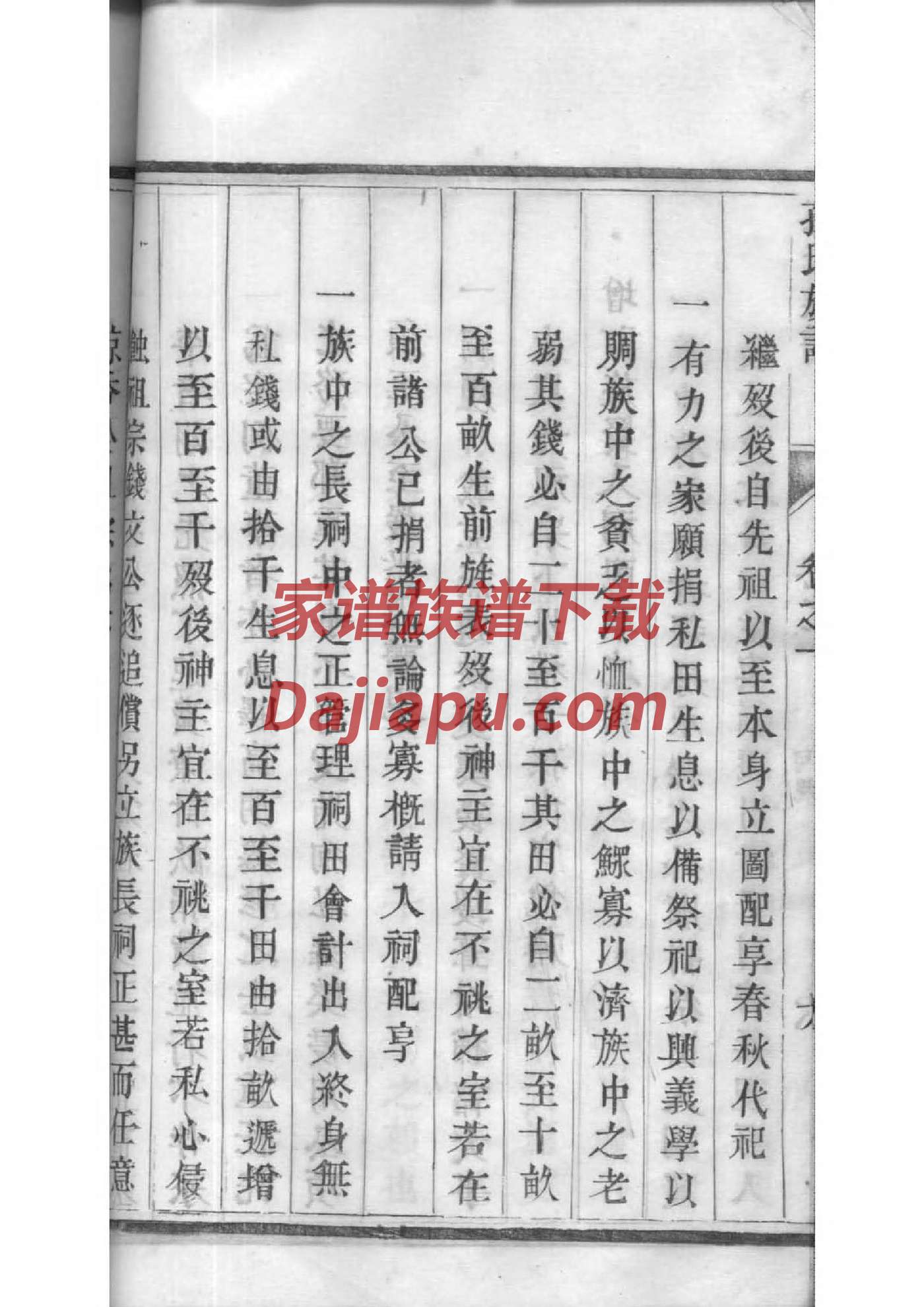 许氏的起源