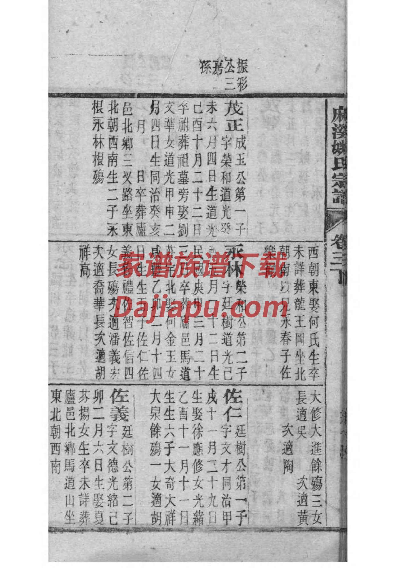 家谱的做法
