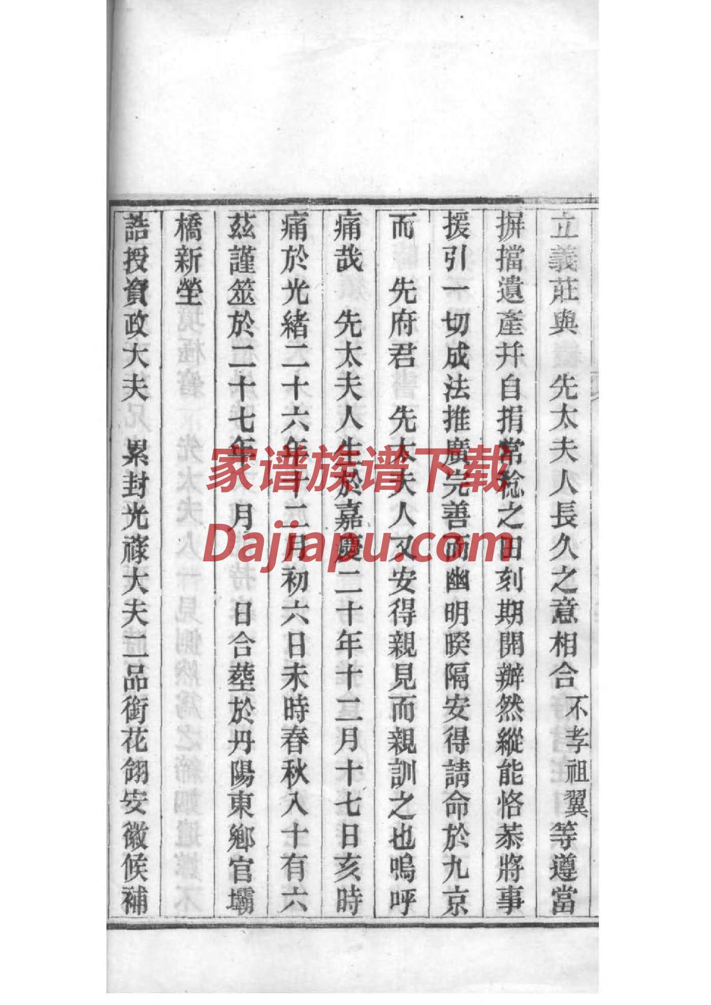 王氏族谱在哪里看