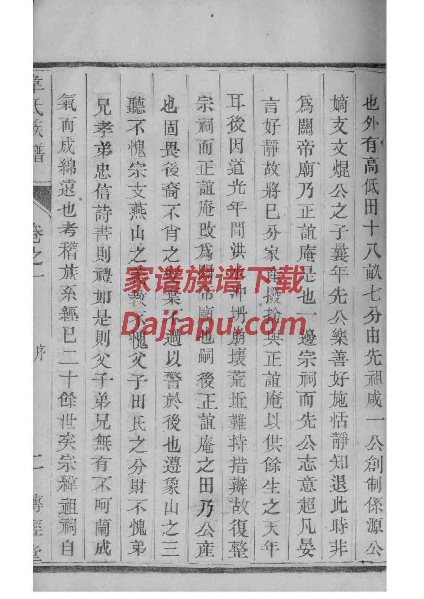丛家族谱
