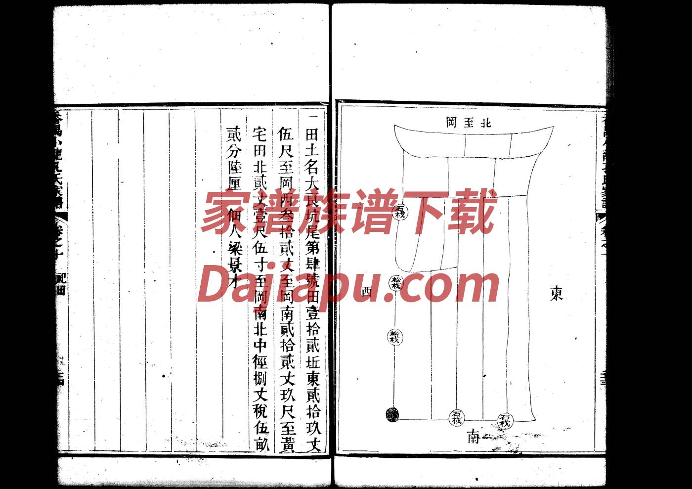 在姓免费查自己家谱