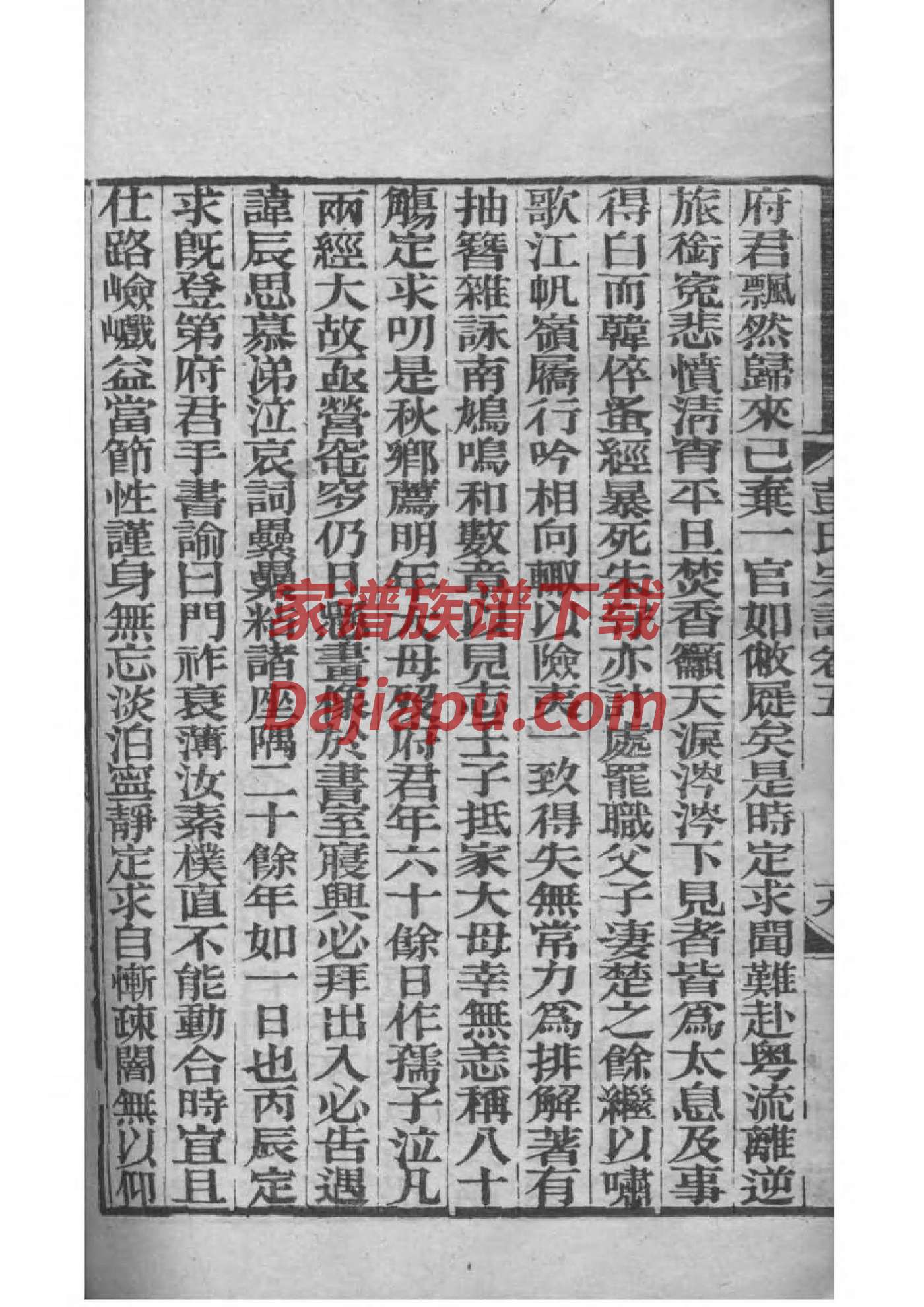 顿氏家谱所有字辈查询