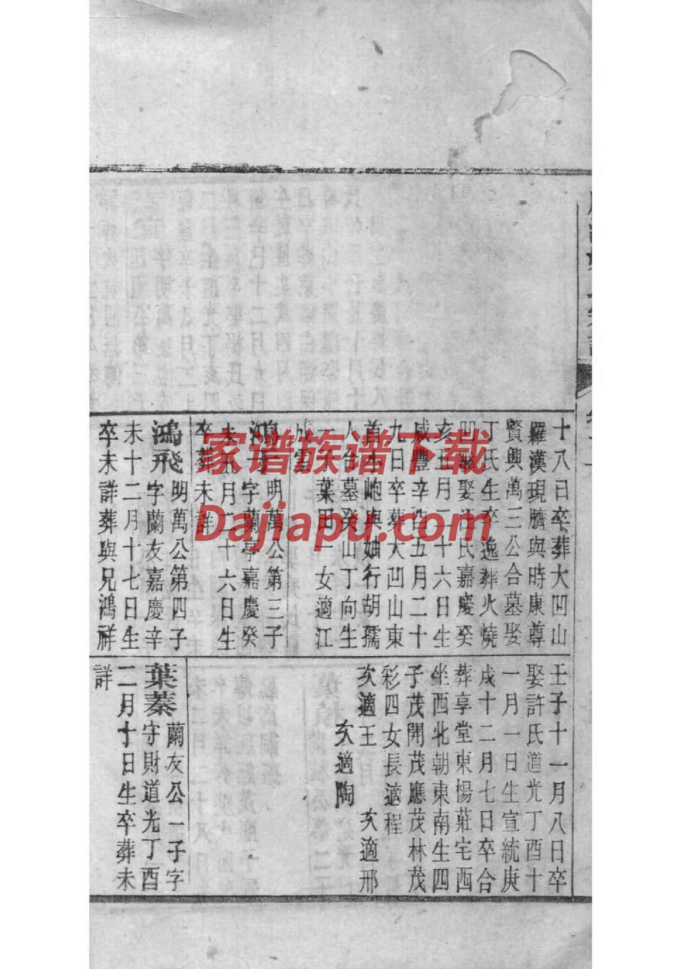 欎姓免费查自己家谱