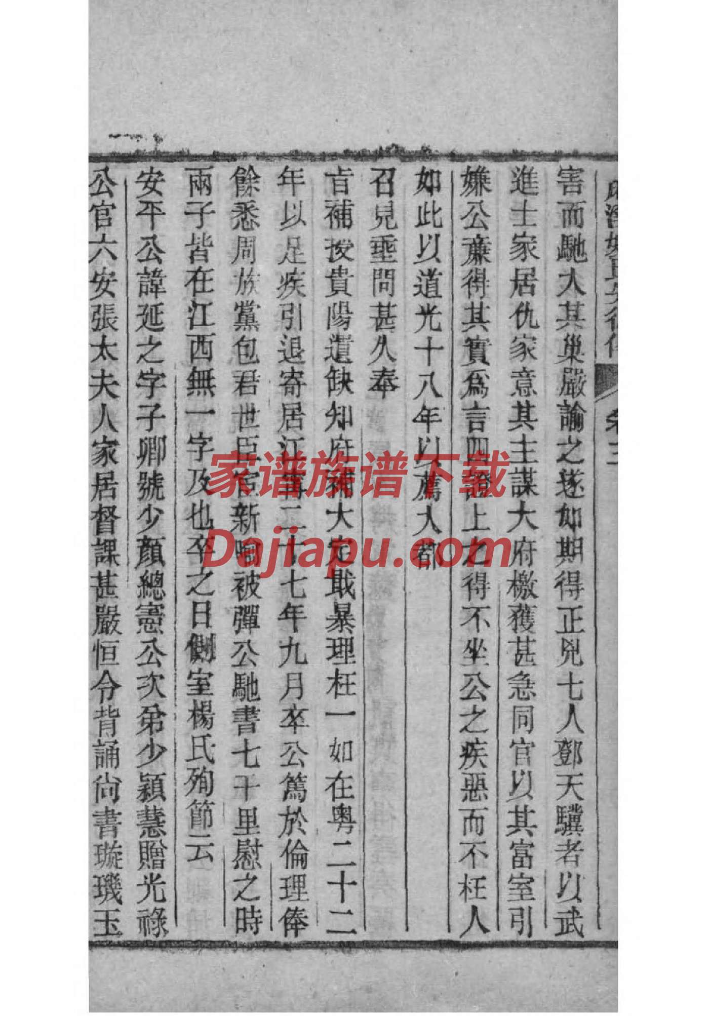 杨姓家谱杨仕玉