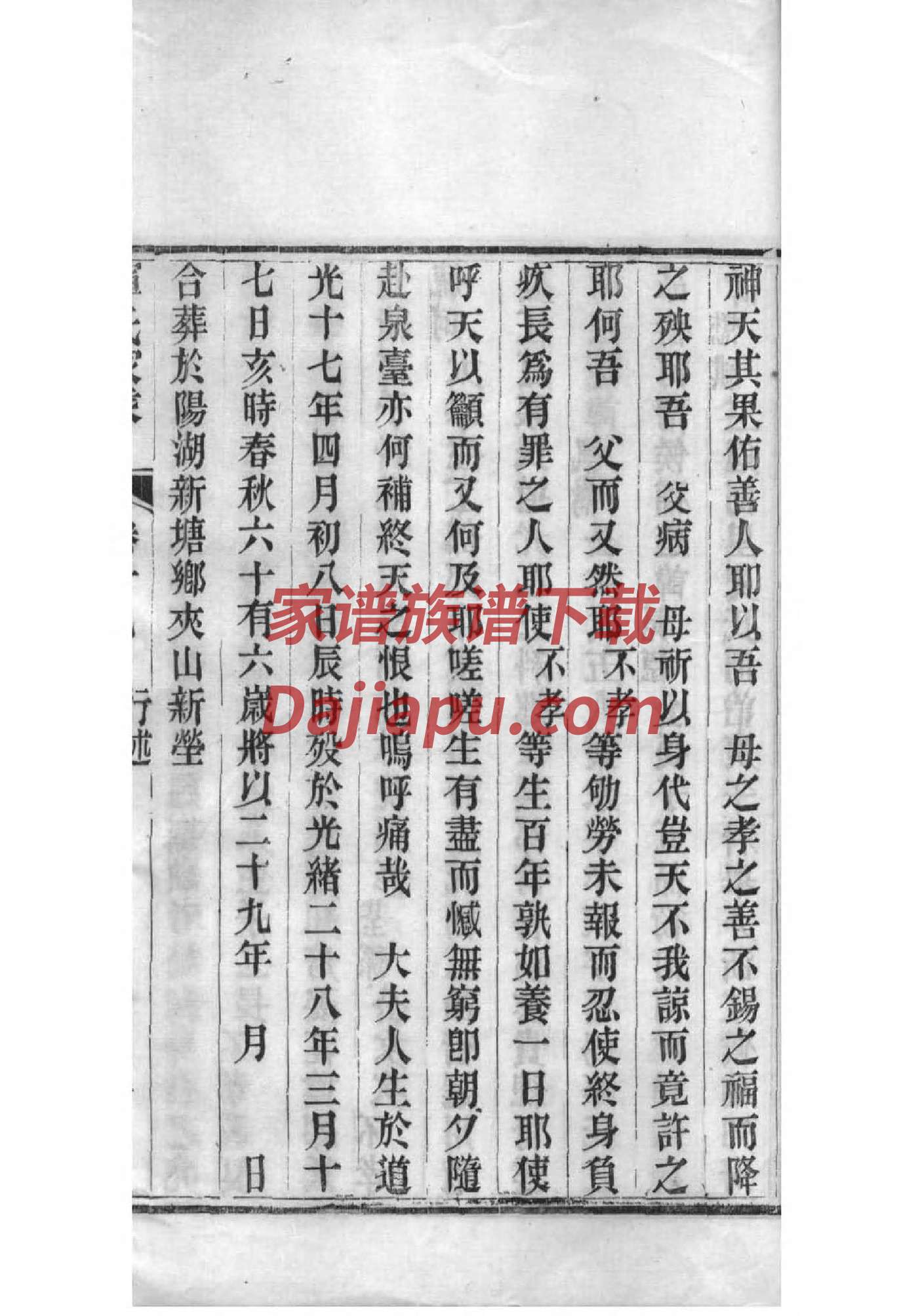 强氏的起源