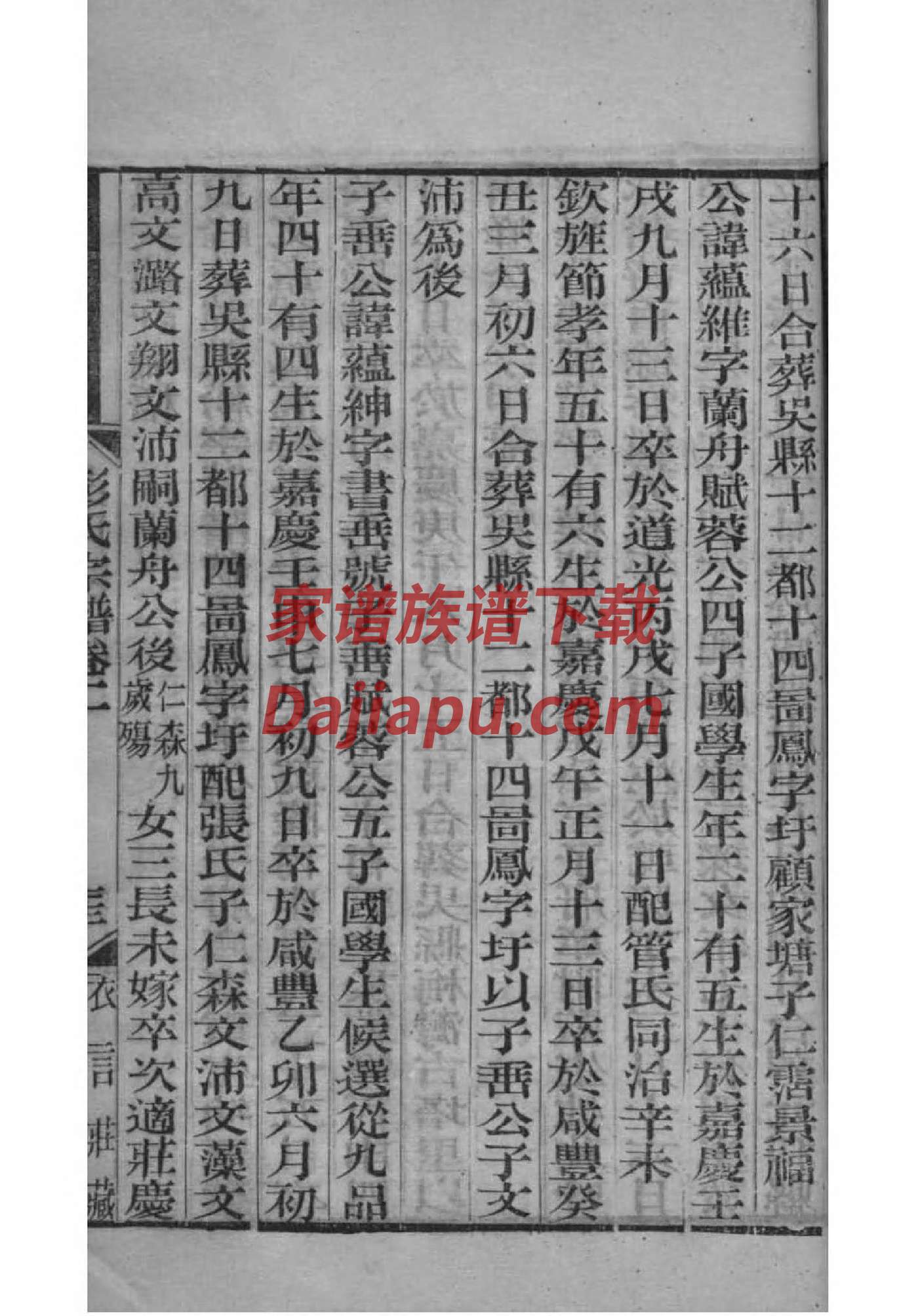 律姓免费查自己家谱