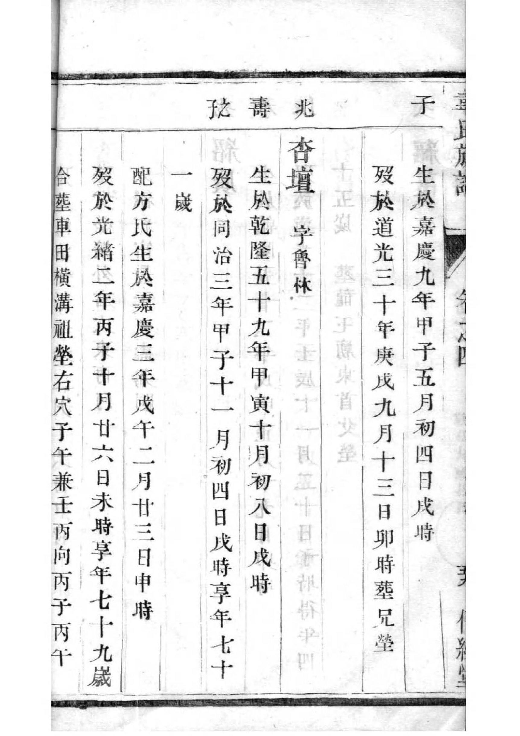 薛家后代家谱