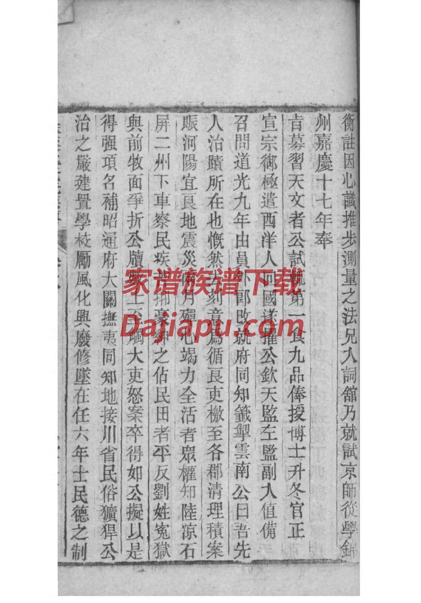 母姓族谱字辈排行
