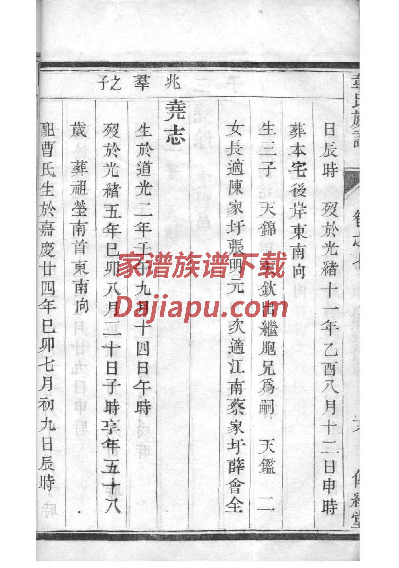 冒氏家谱24个辈分