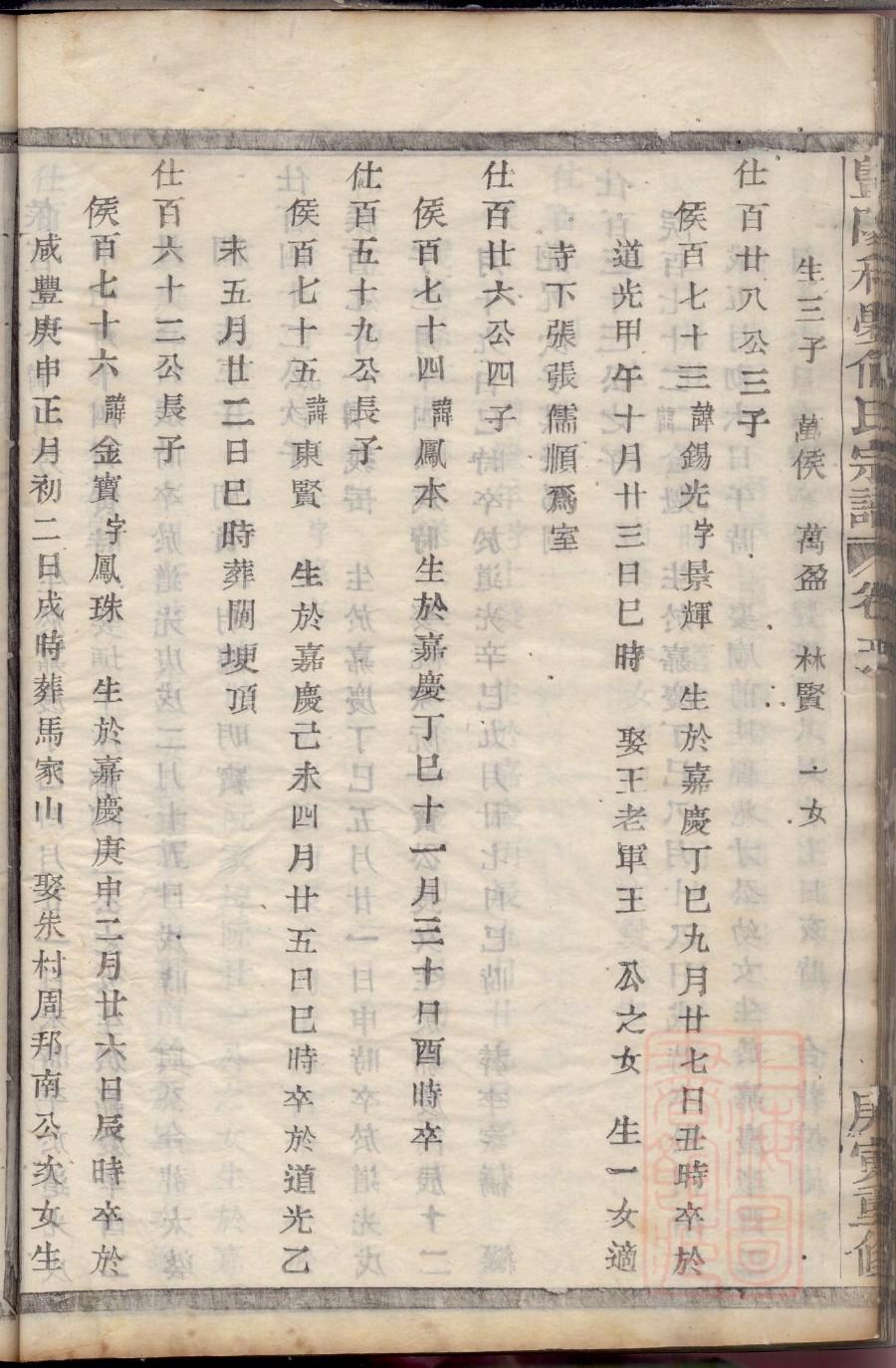 仙氏族谱电子版下载阅读