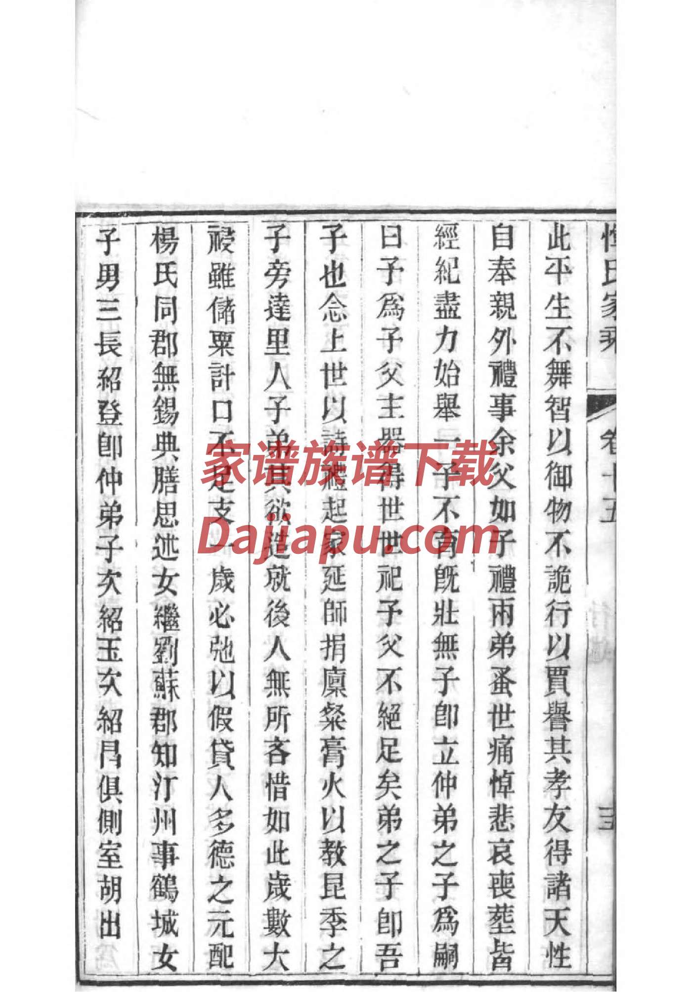 孙氏的族谱家谱辈分