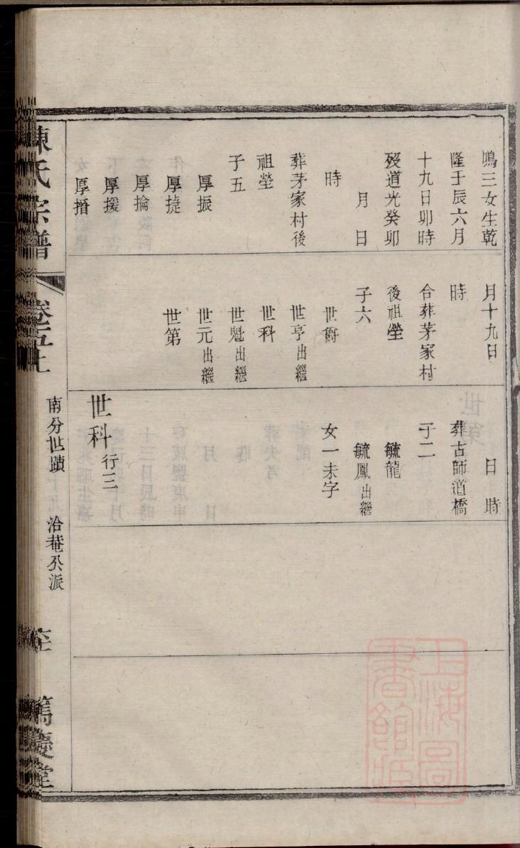 安利成冠系统家谱