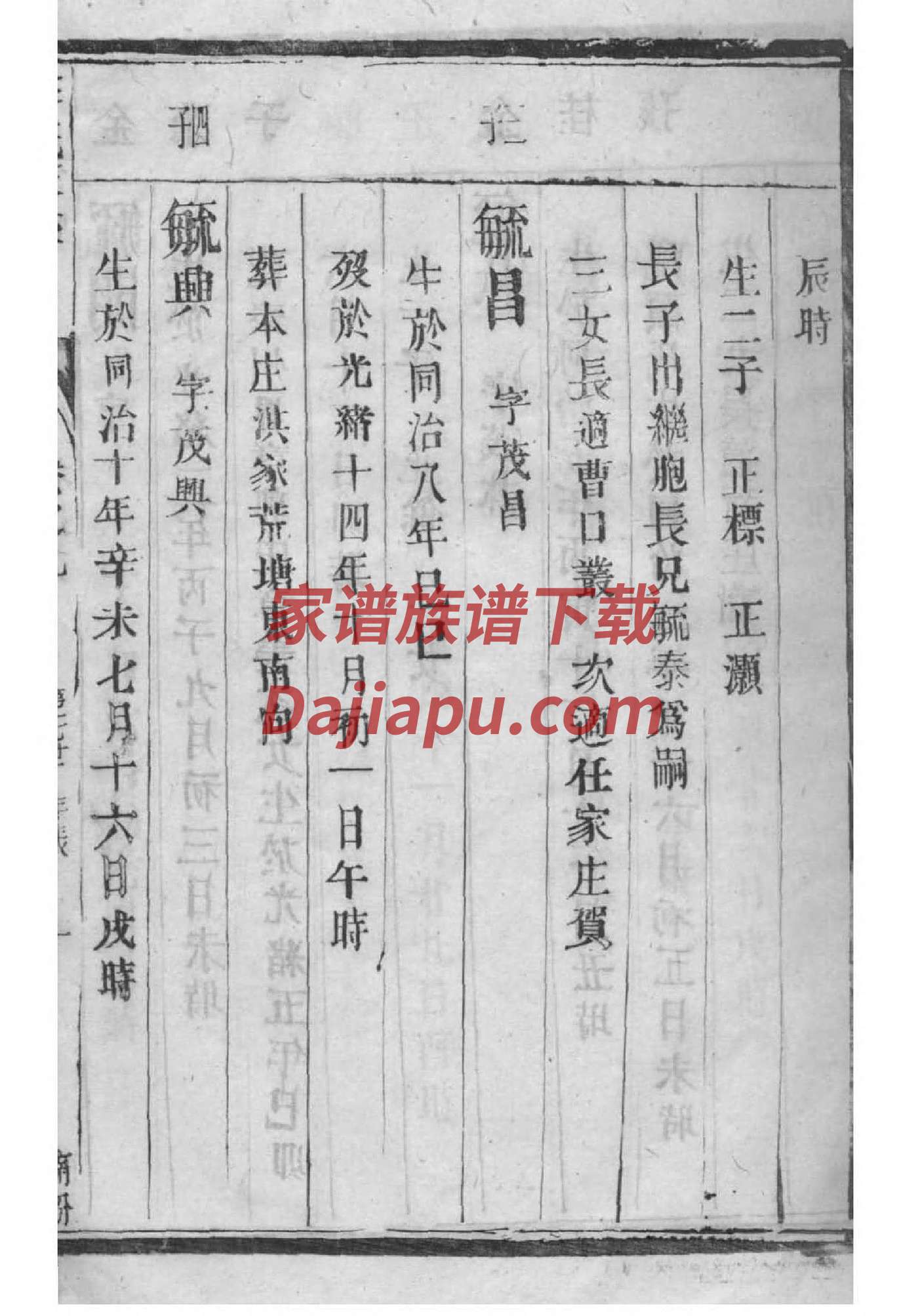 诸氏家谱查询一览表