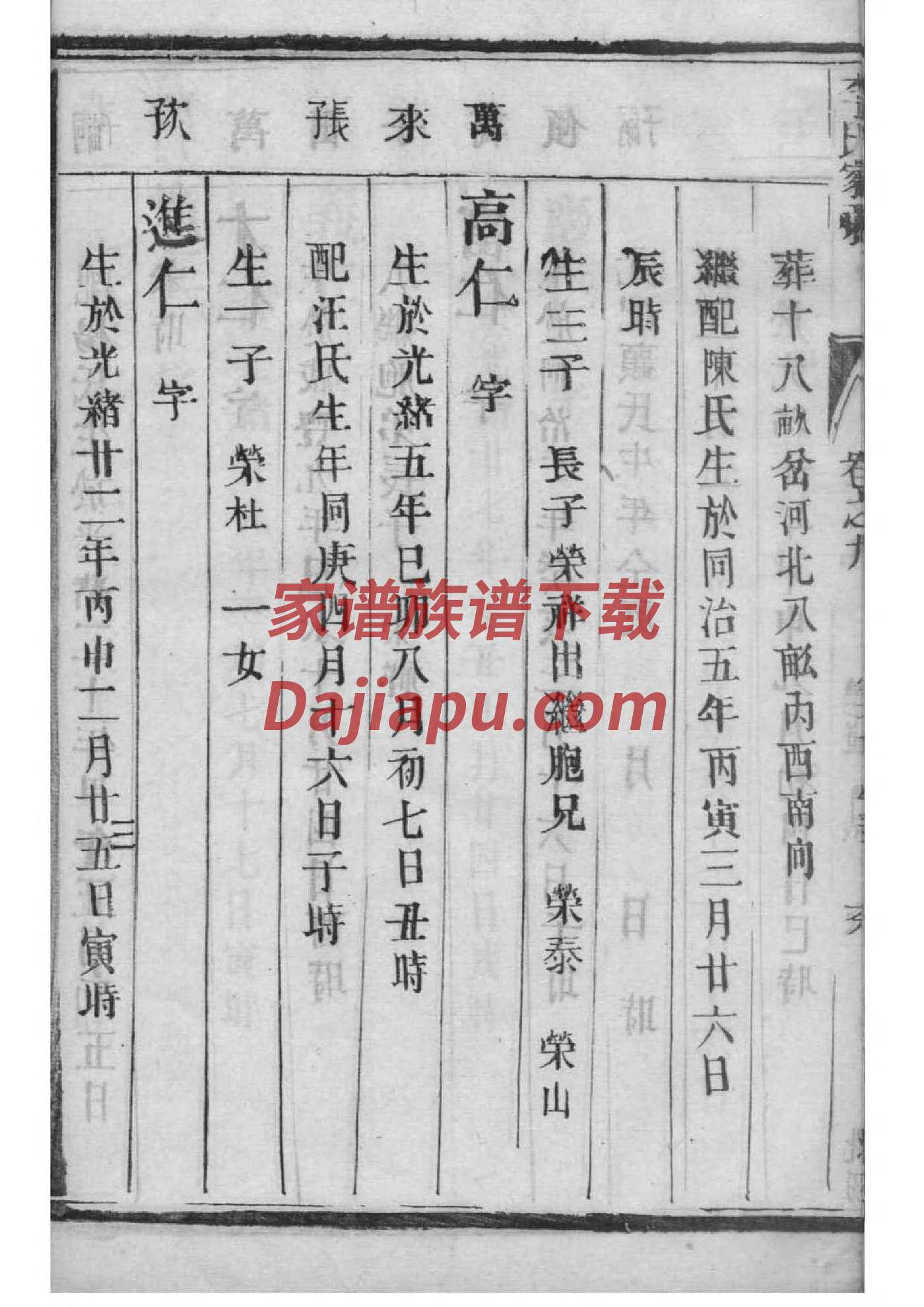 袁家族谱