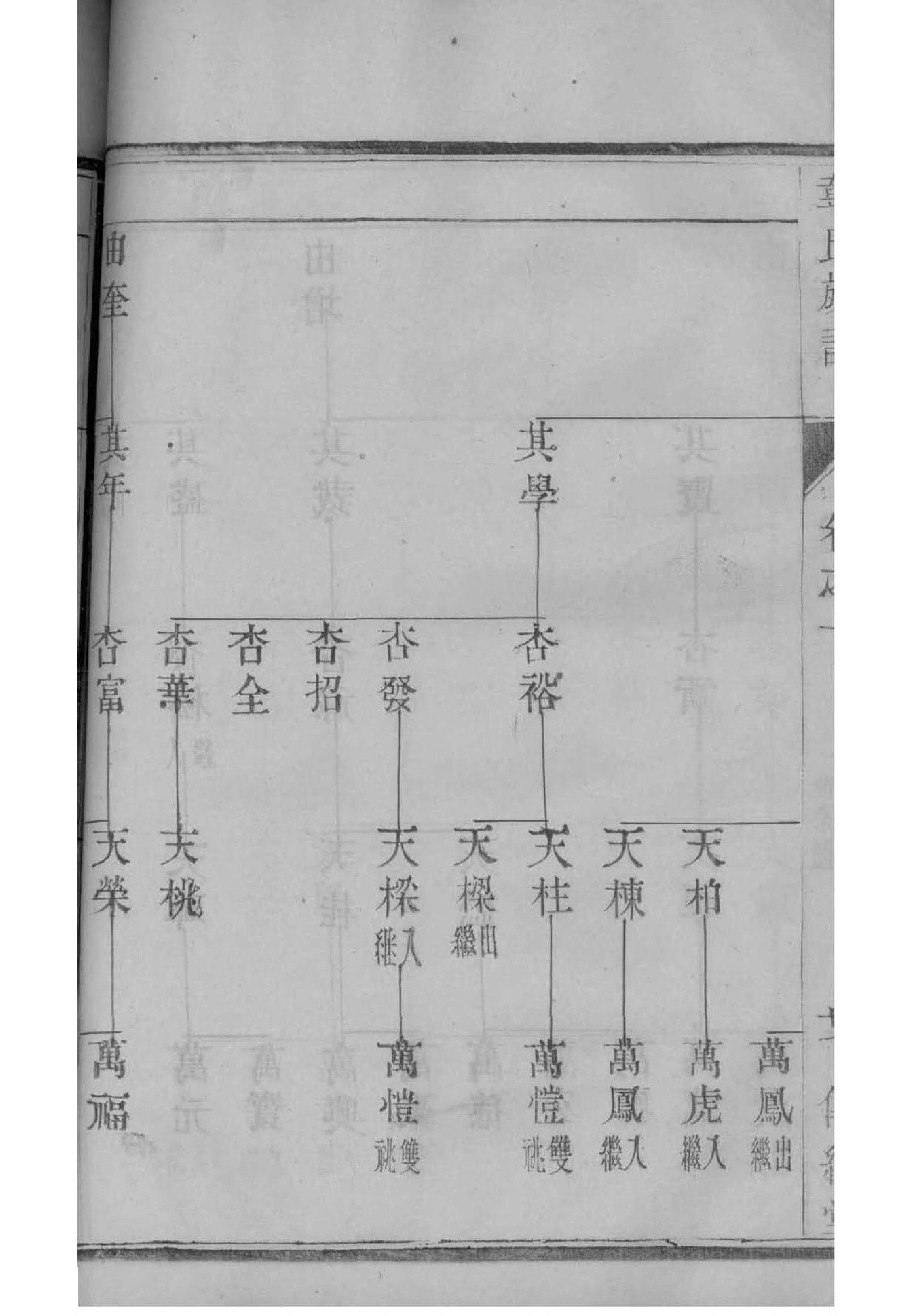 家谱网用户ID
