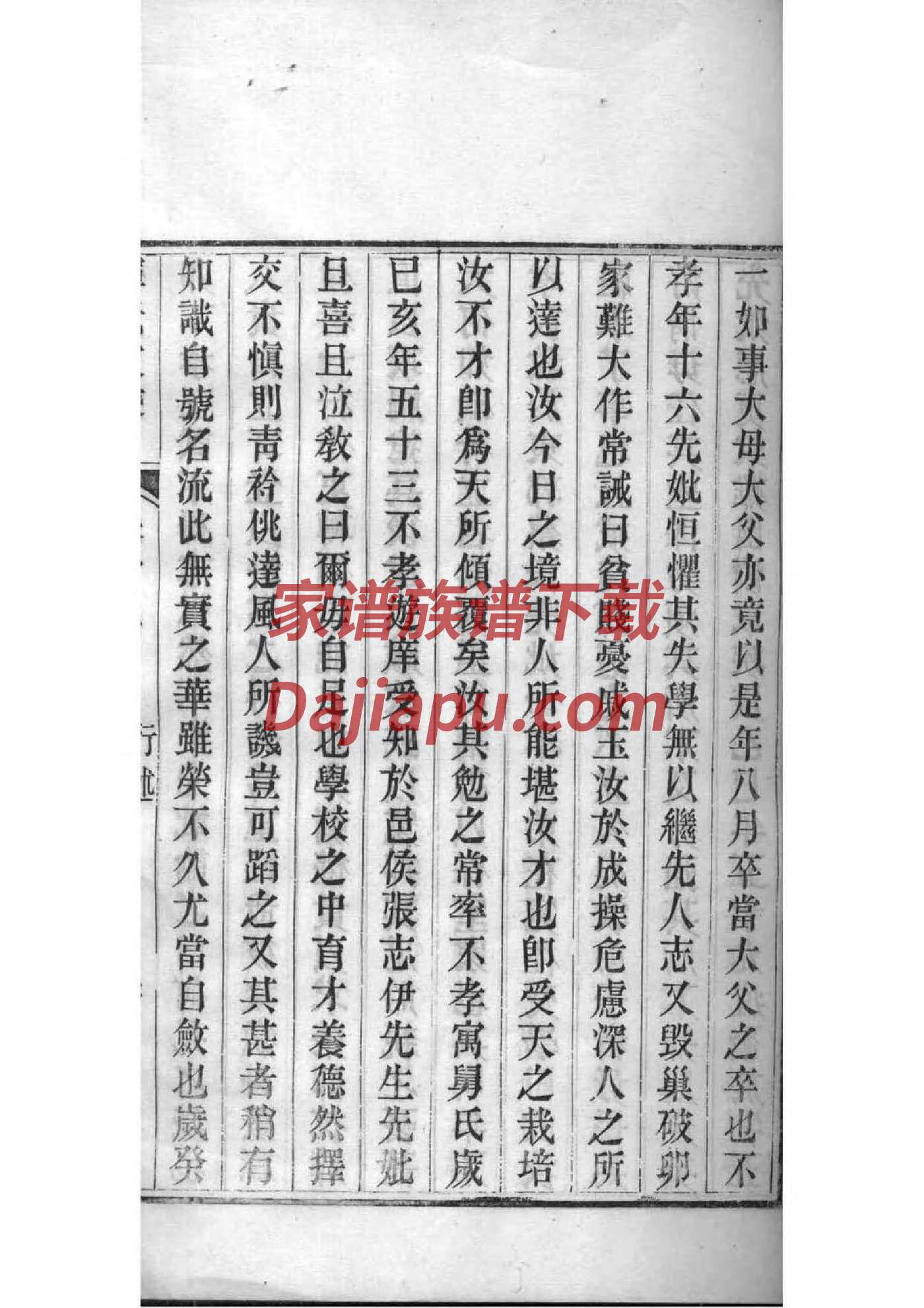 家谱该怎么做