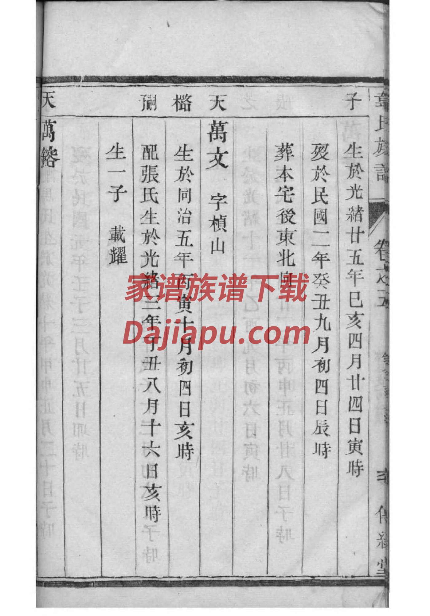 袁氏家谱族谱数据库