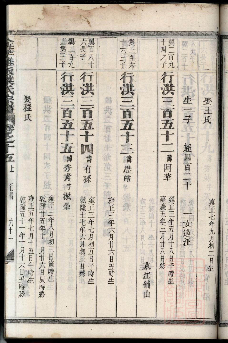 族谱模板