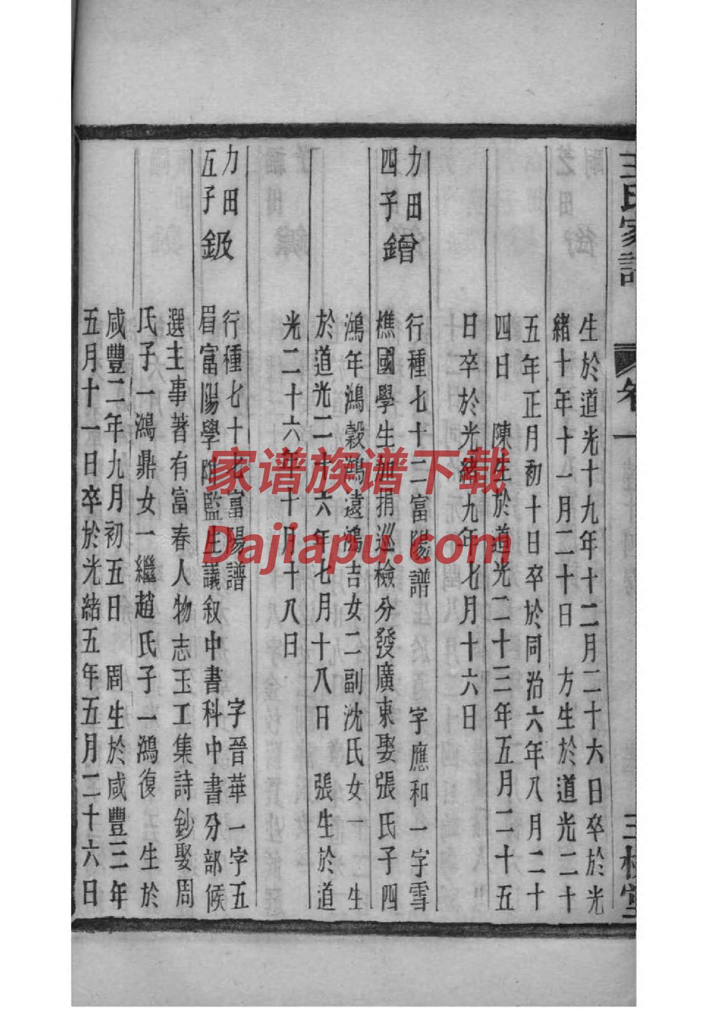 王家家谱全部