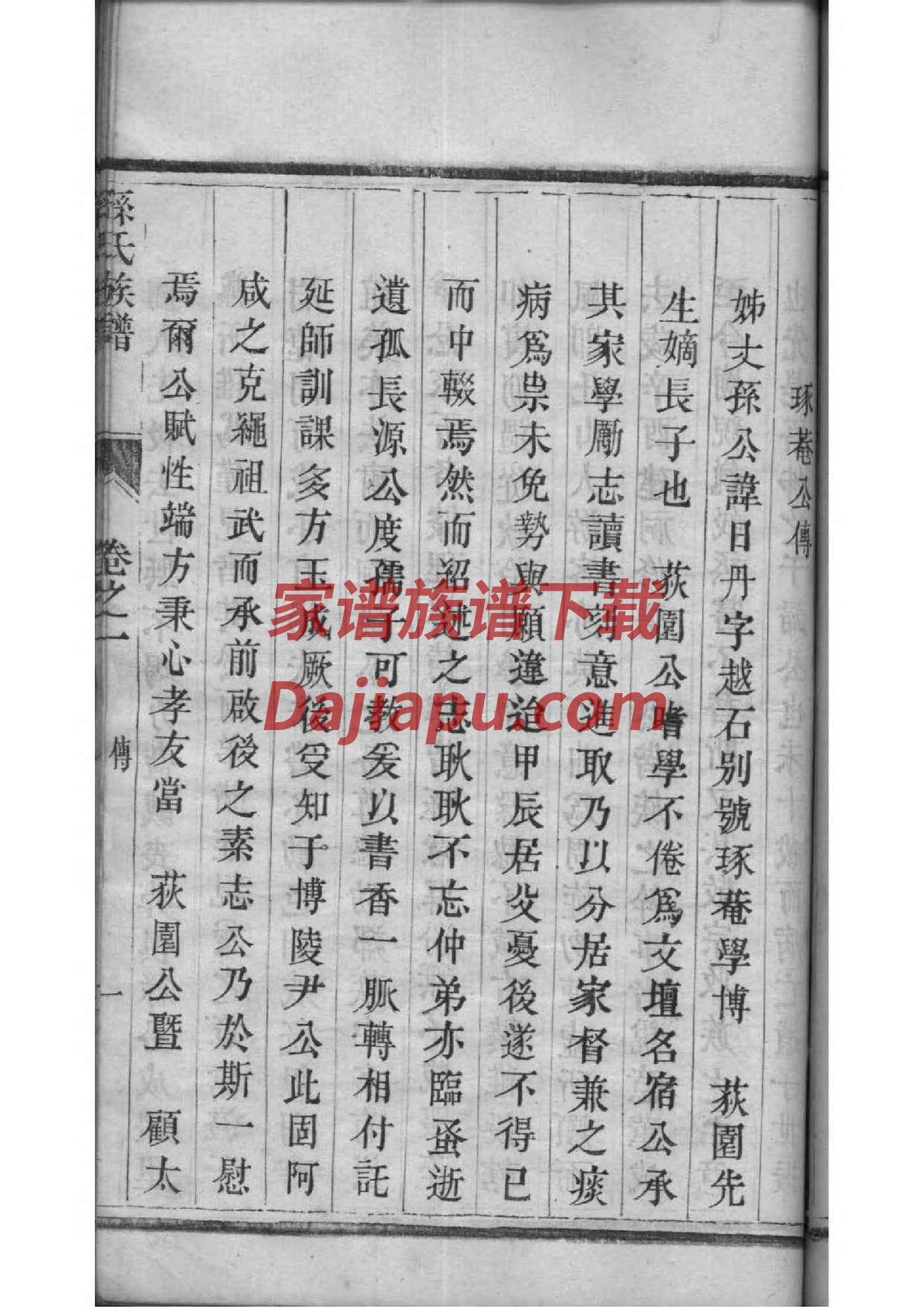 家谱制作模板
