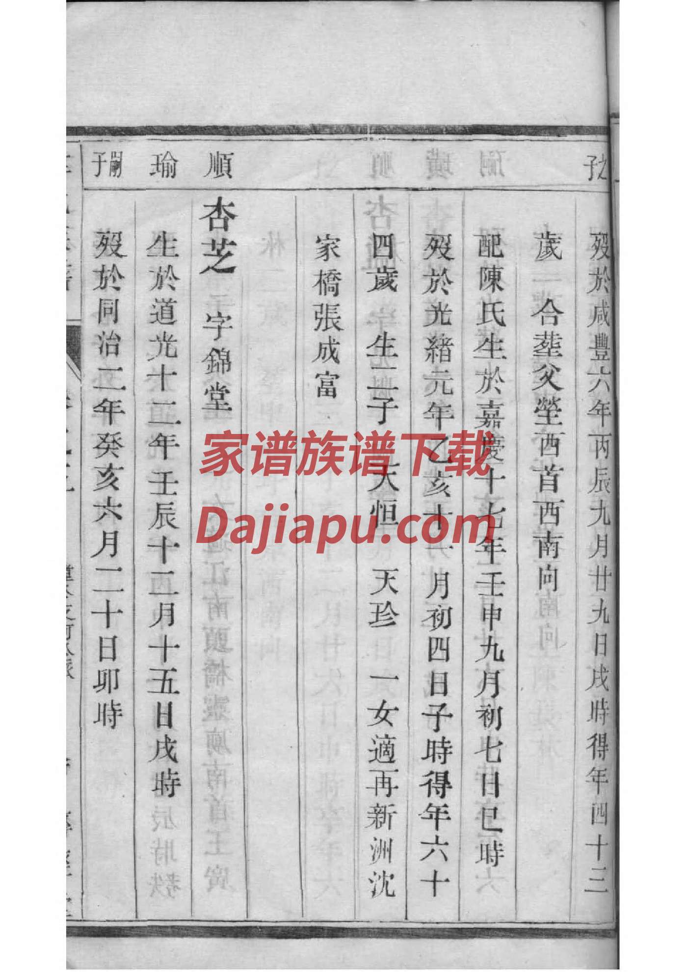 嵇氏家谱所有字辈查询