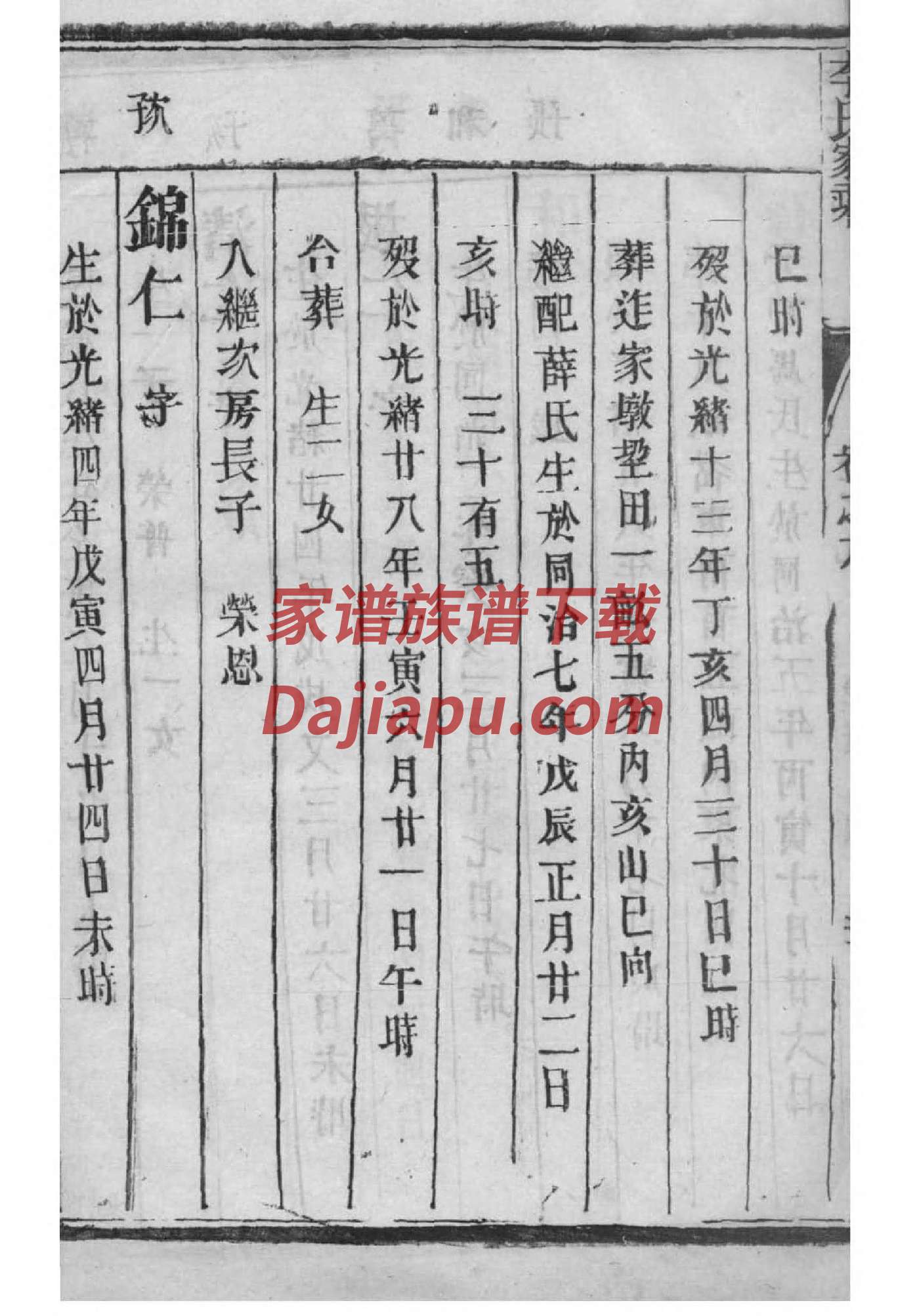 贯姓族谱字辈排行
