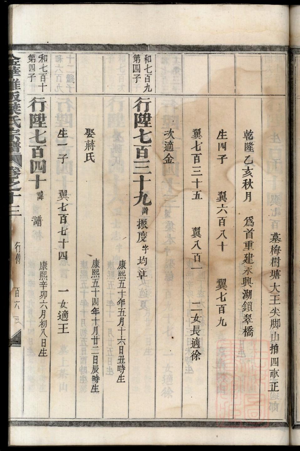 族谱小学作业