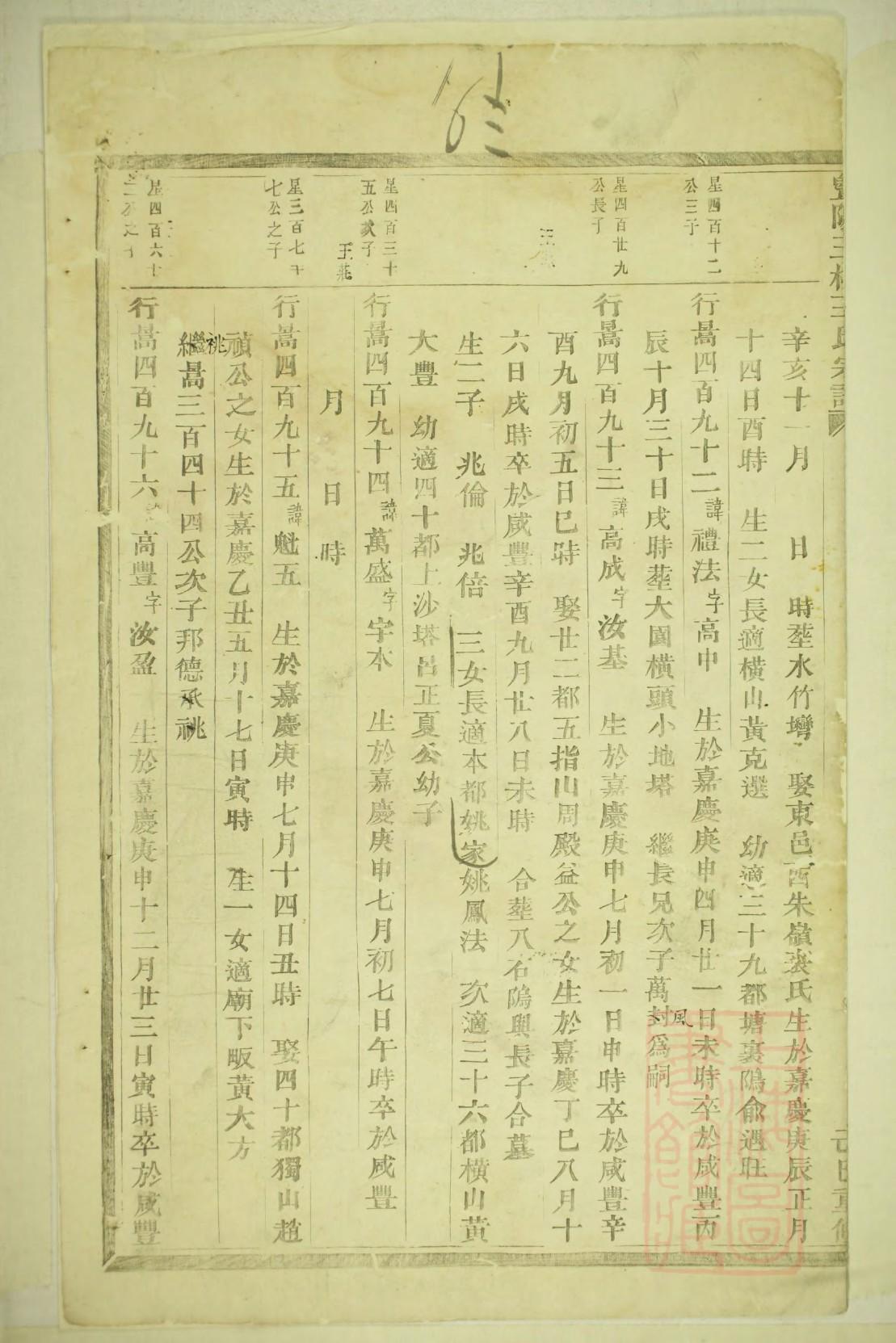 杨氏族谱查询系统