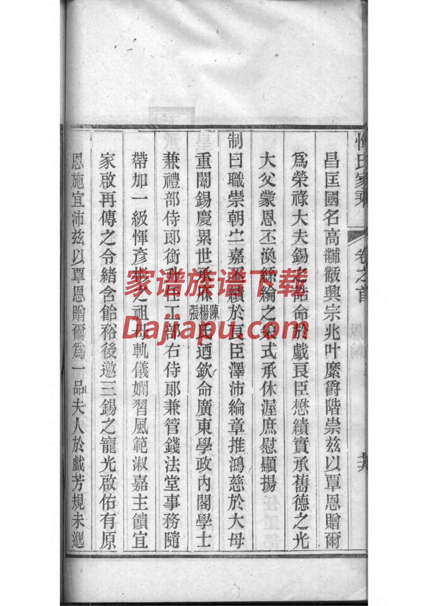 家谱图片简单
