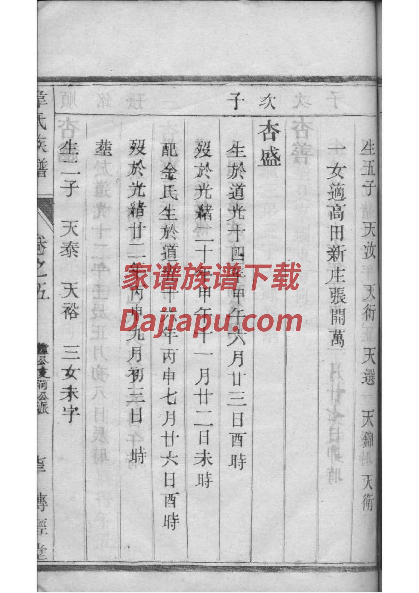孙氏家谱封面