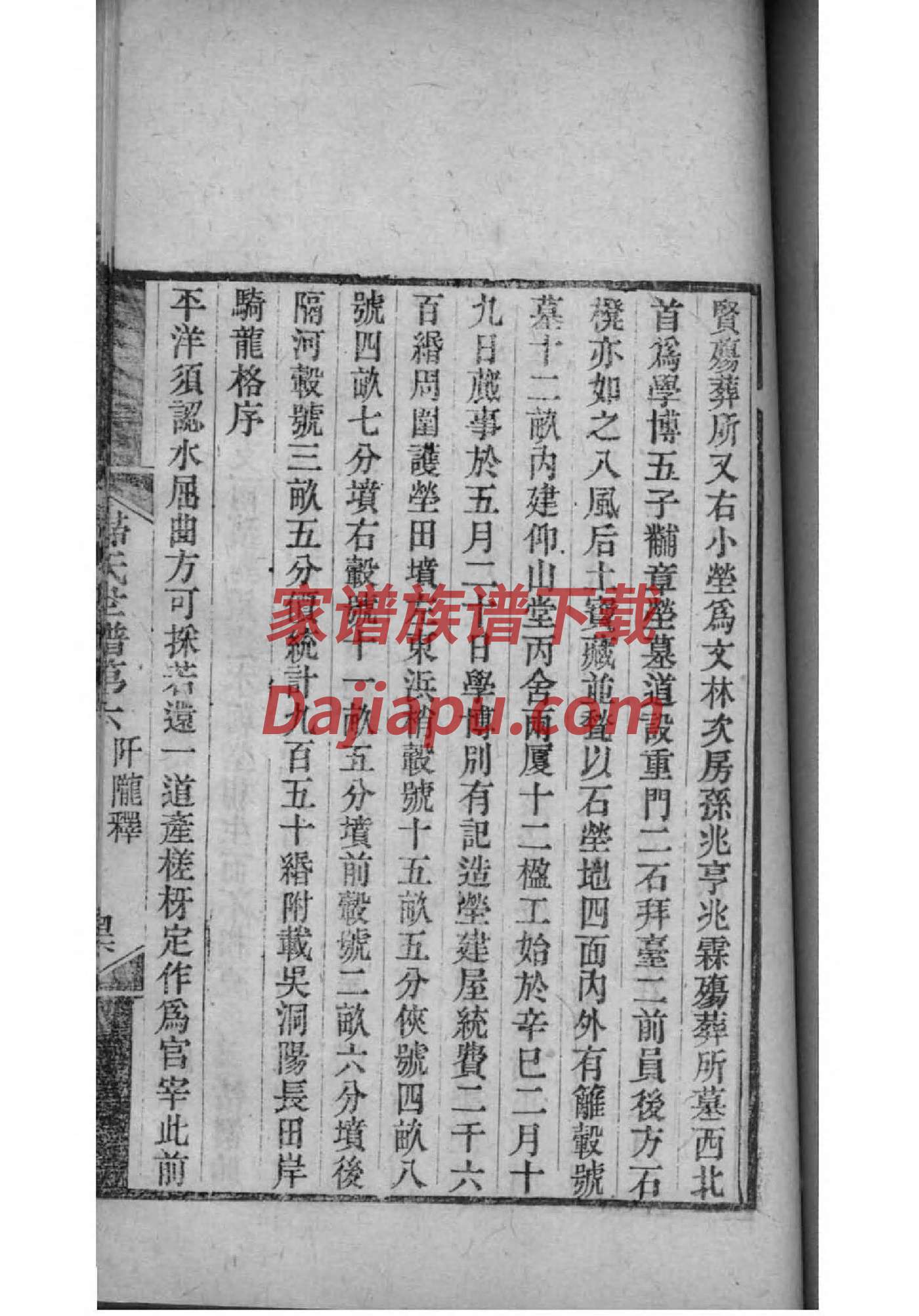 卢氏族谱查询系统