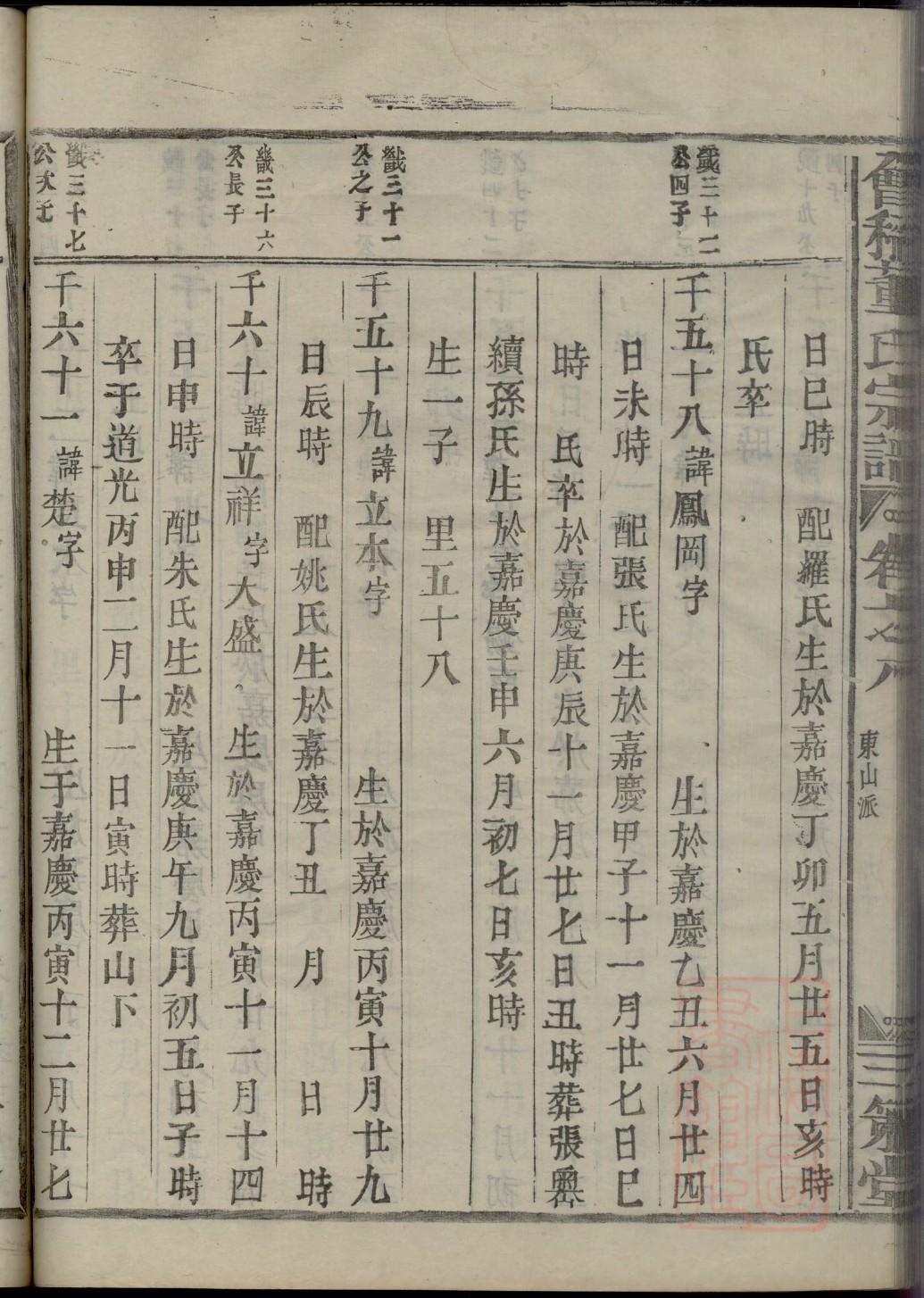 家谱的卡通图片