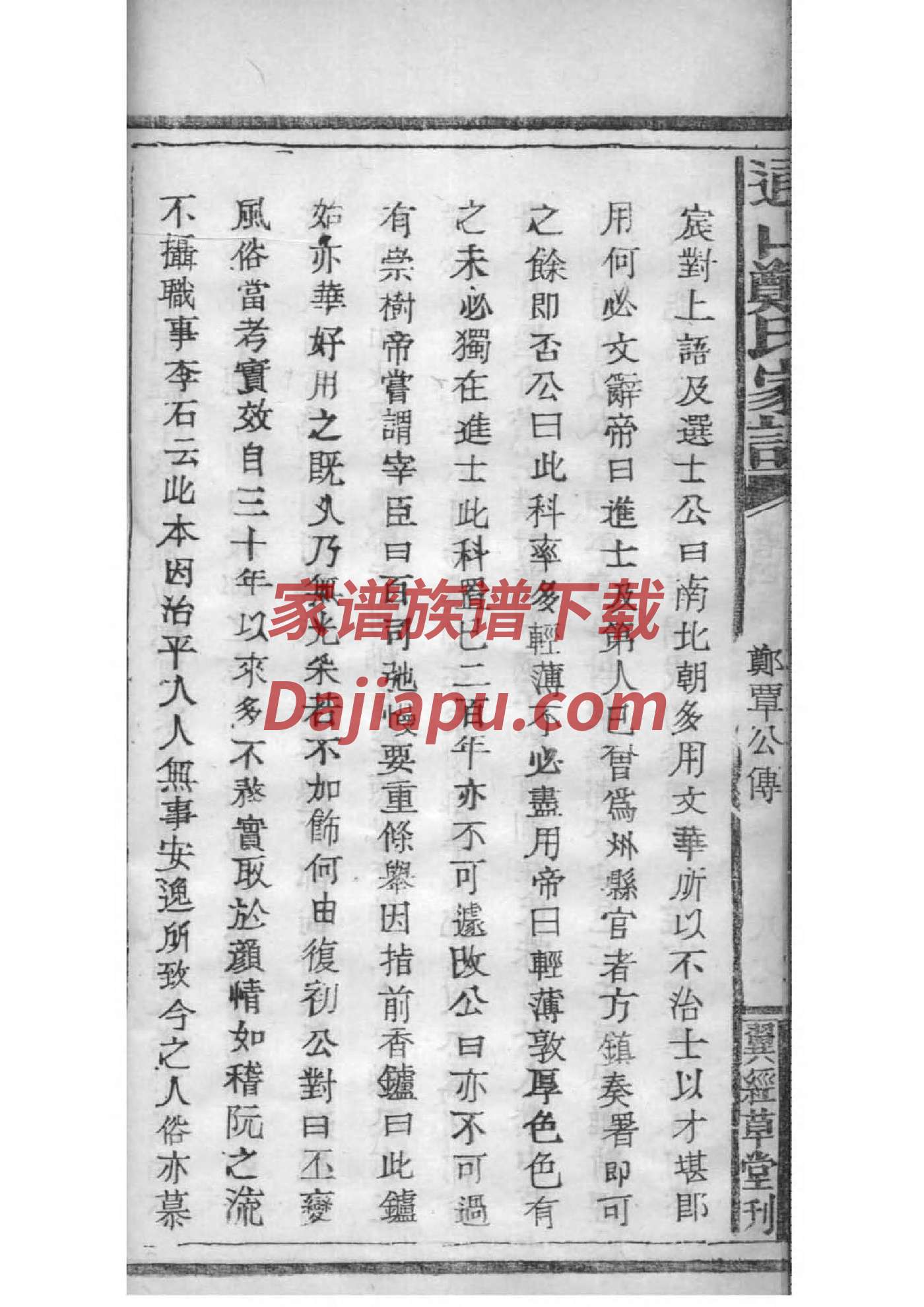 家谱树视频