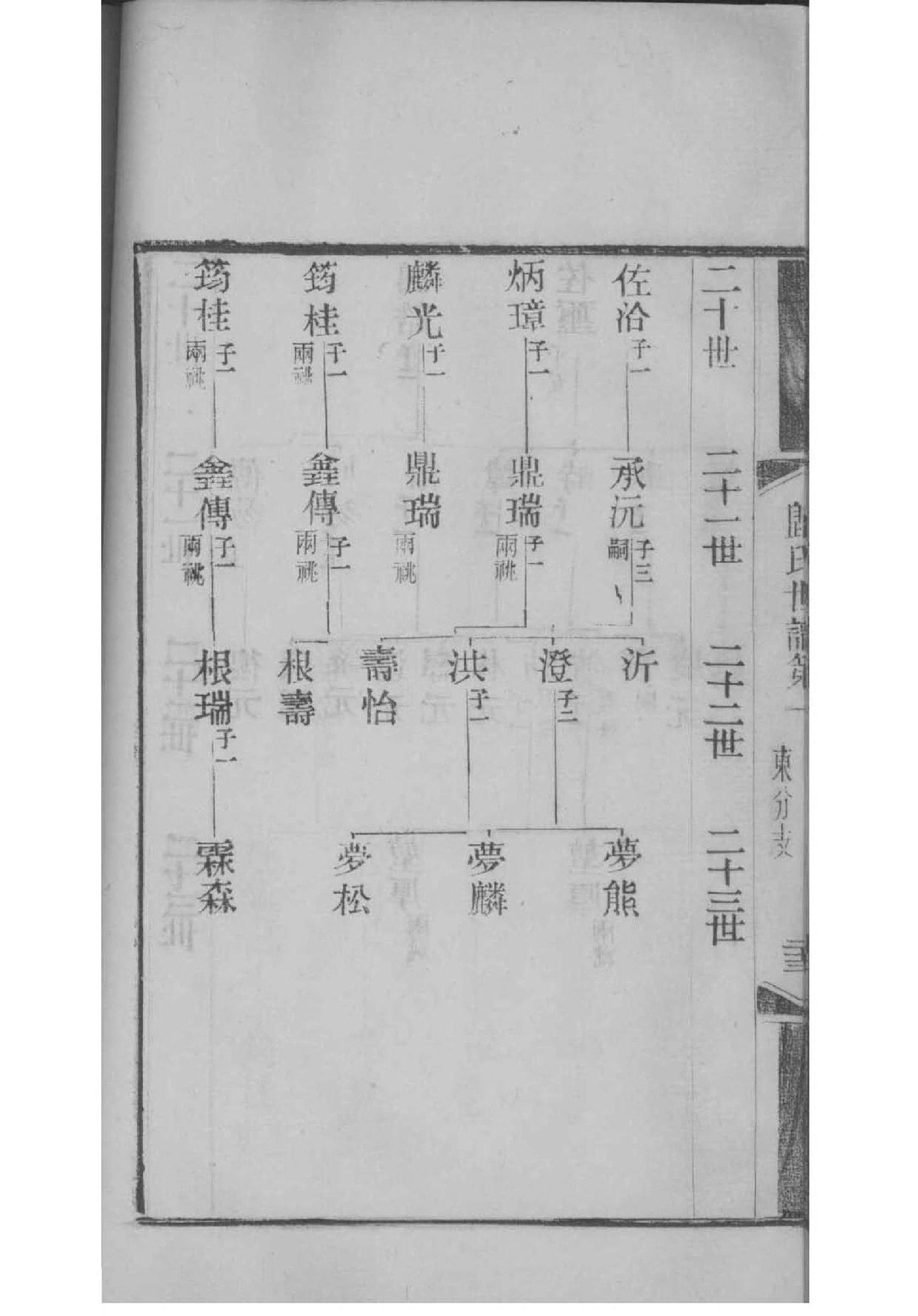 山西大槐树杨家家谱
