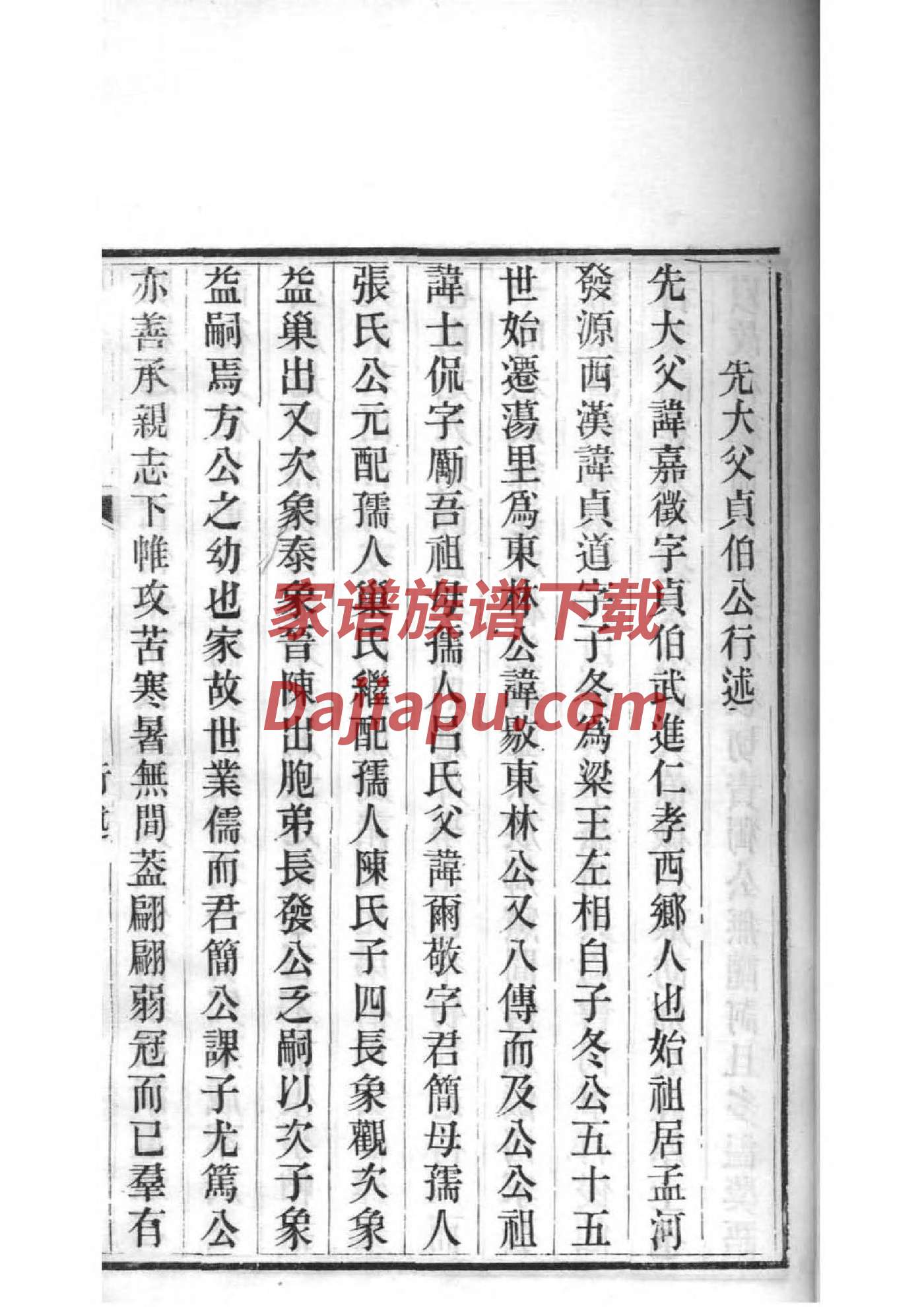 杨姓氏家谱与字辈