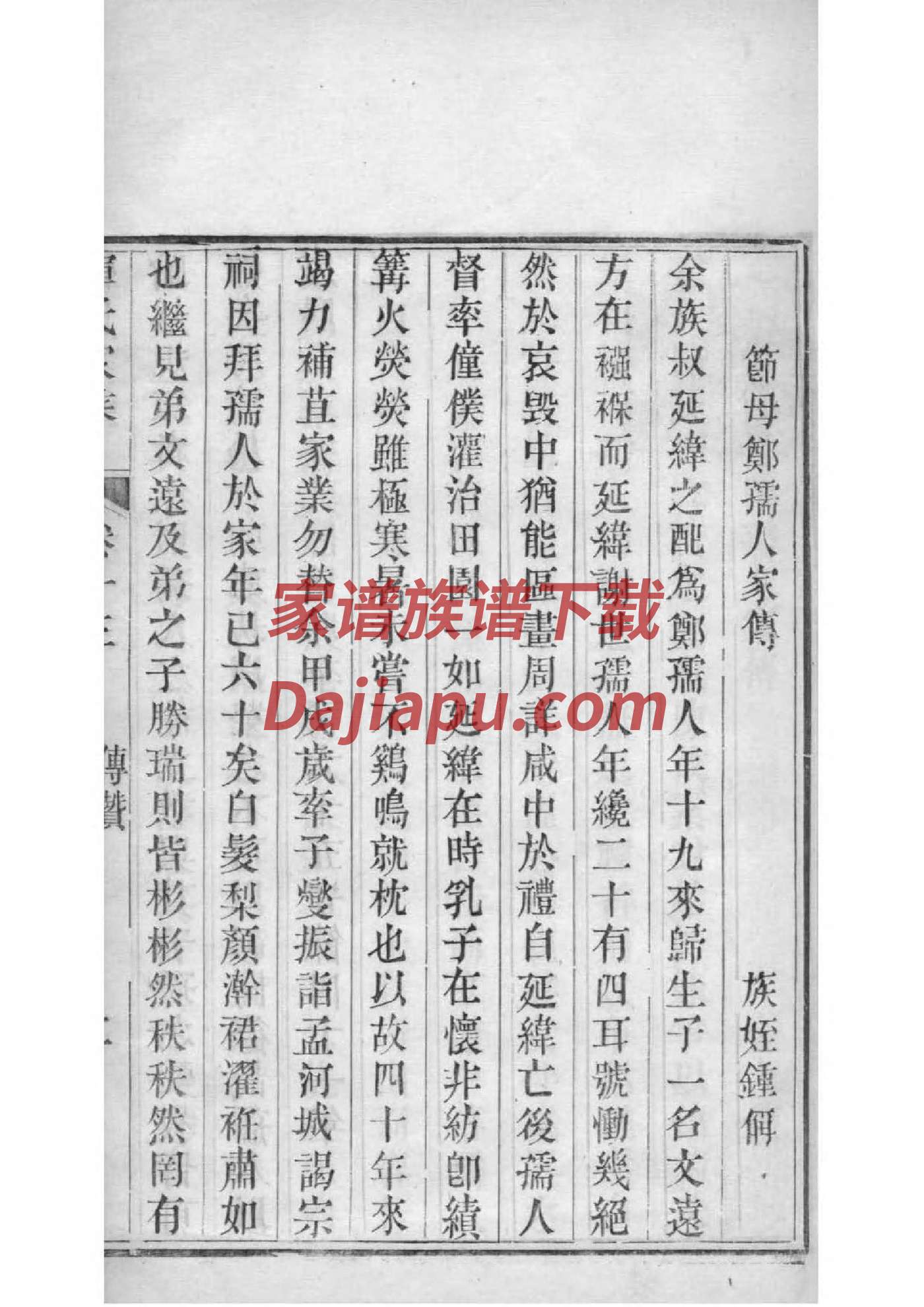第姓族谱字辈查询全部