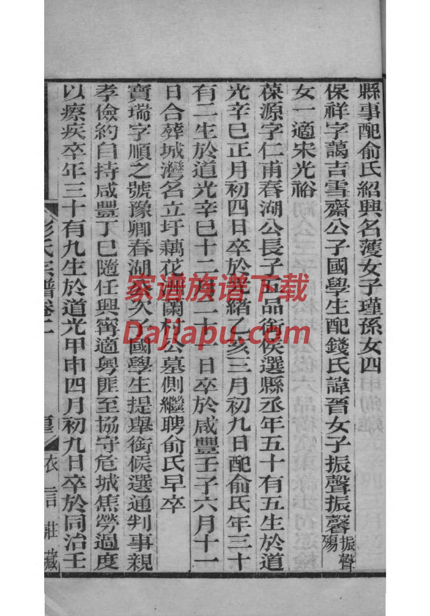 杨氏家谱字辈排第几