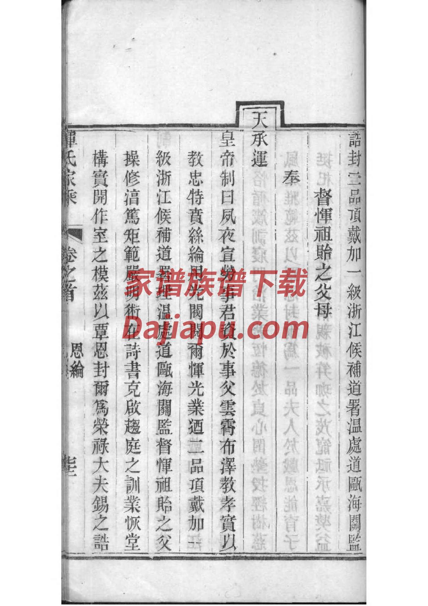 尾氏的起源