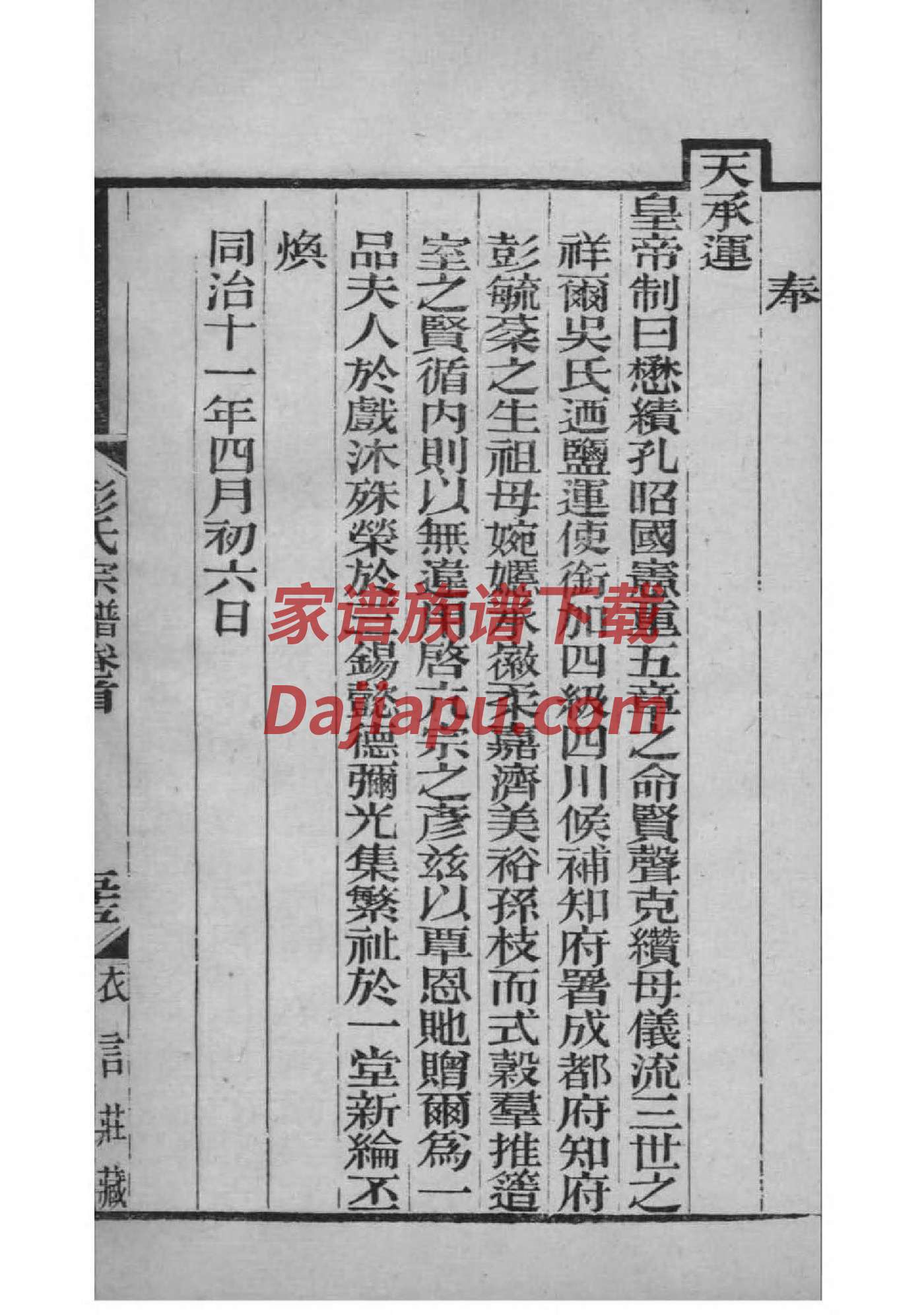 家谱怎么做图片