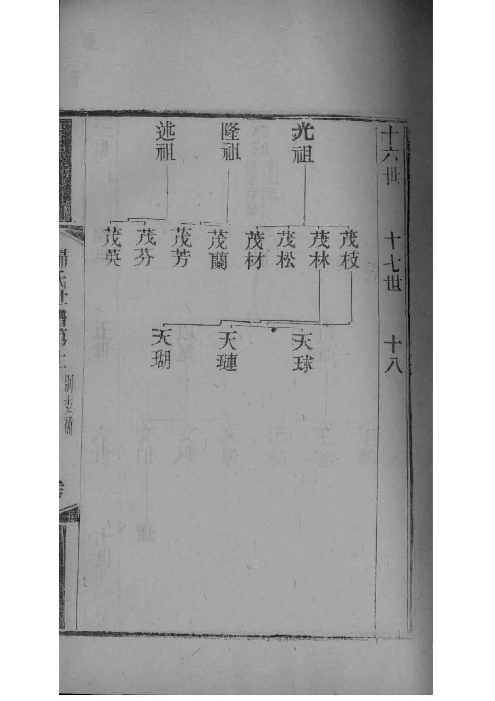 族谱家谱范本