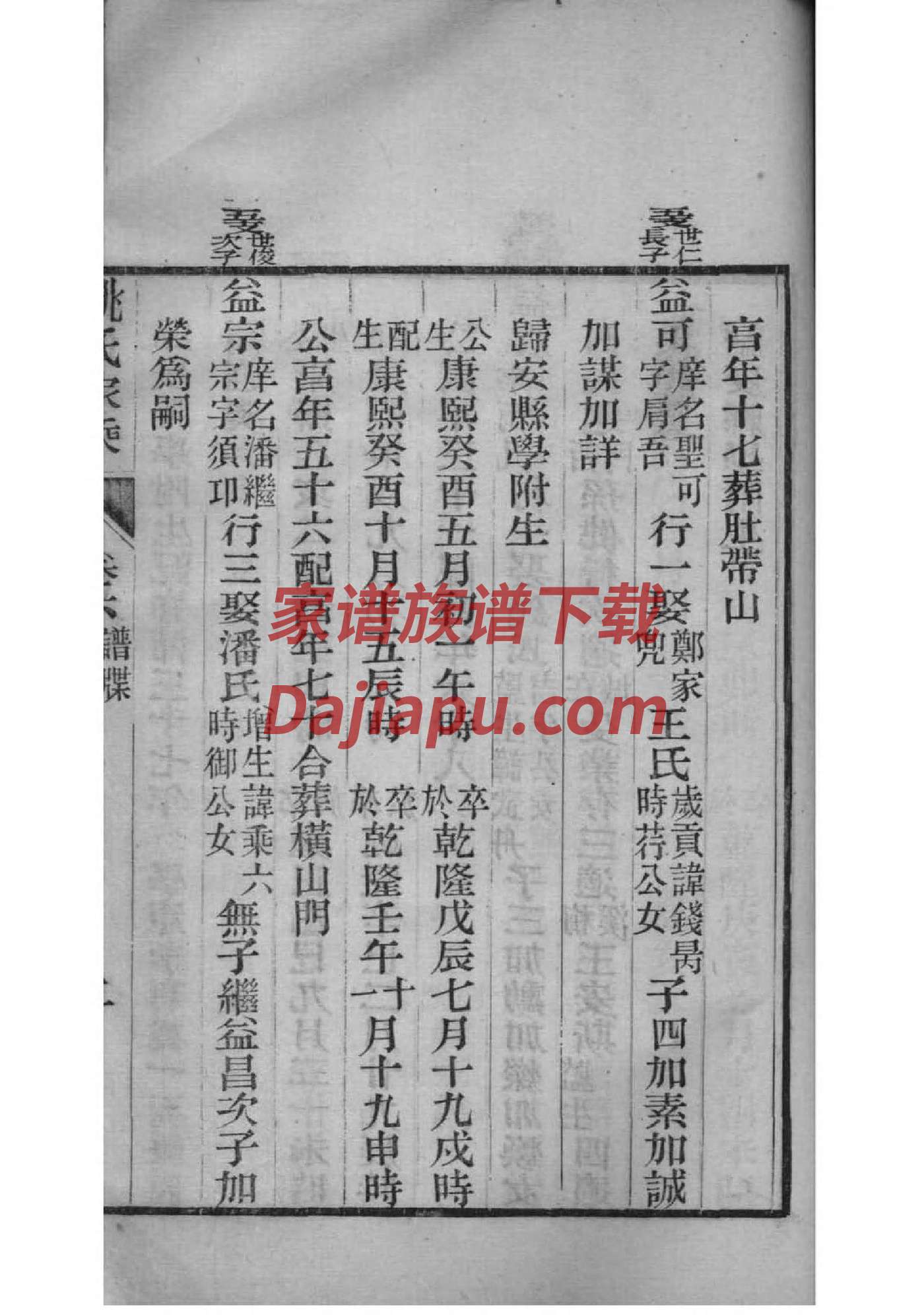 隋家家谱