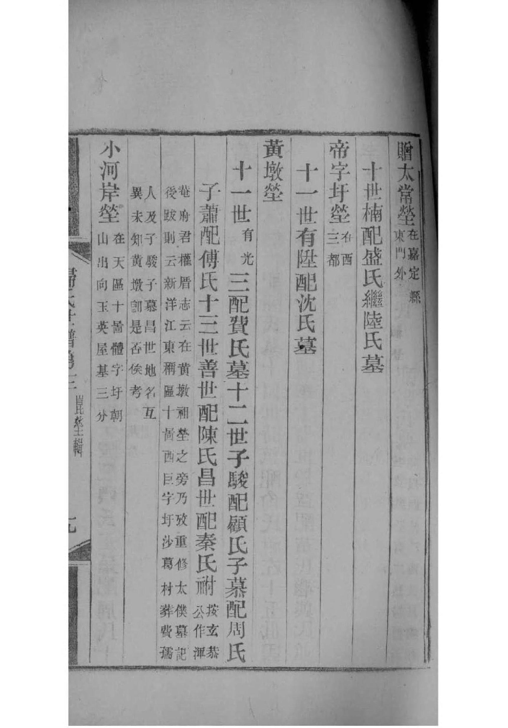 家族谱模板