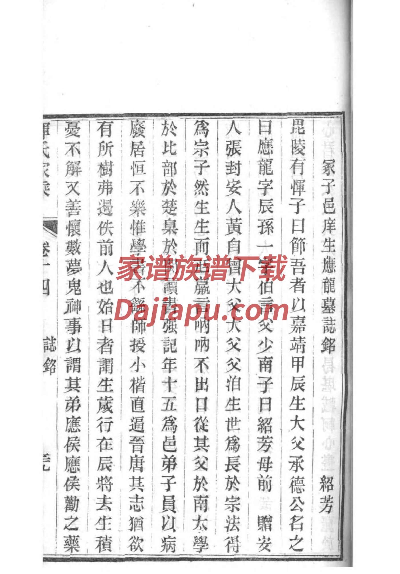 枝氏族谱字辈大全