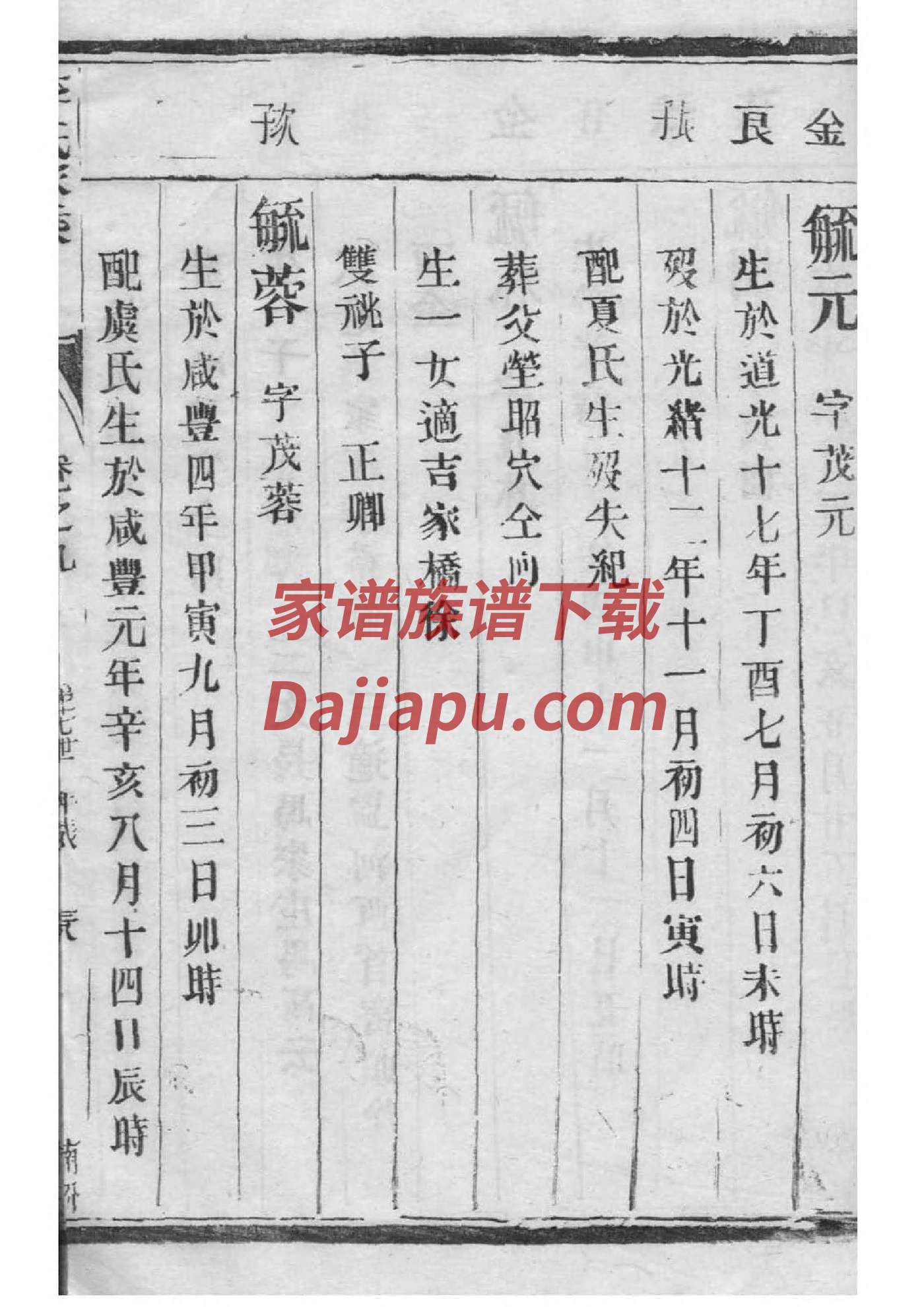 倪氏家谱查询一览表