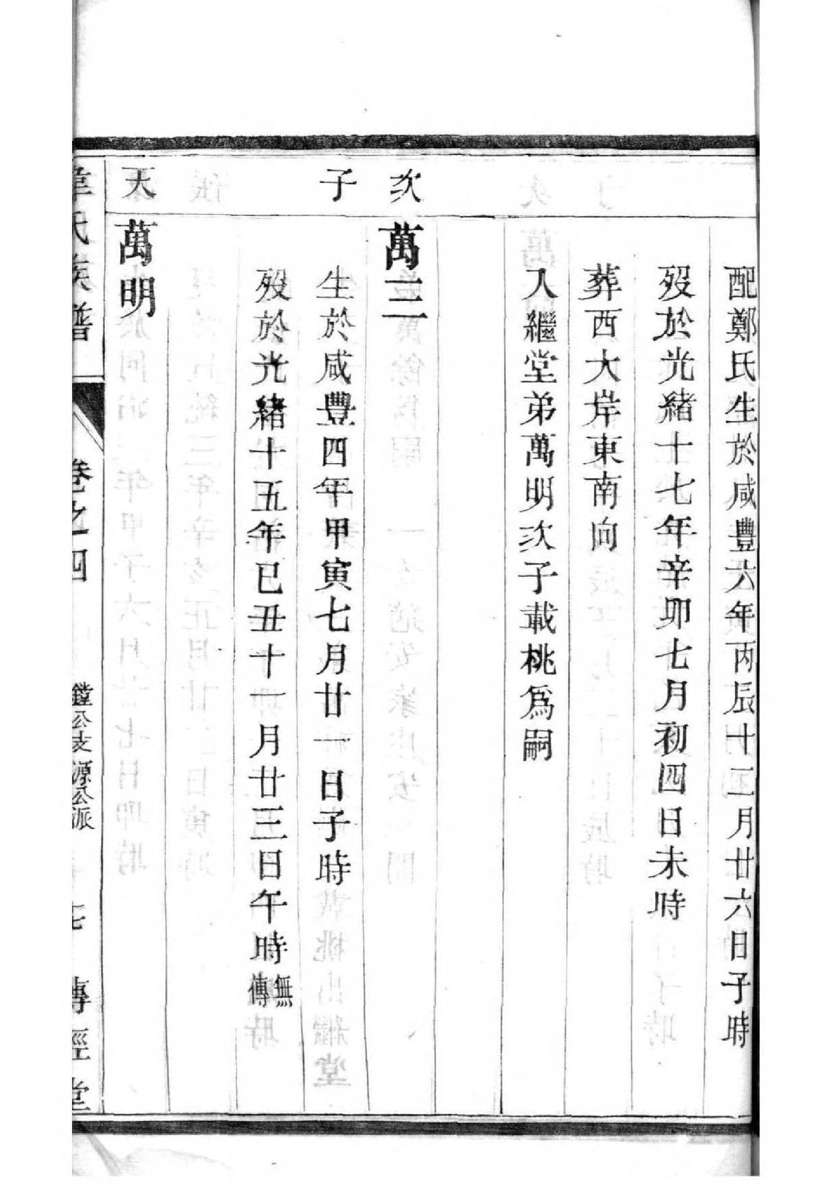族脉家谱软件