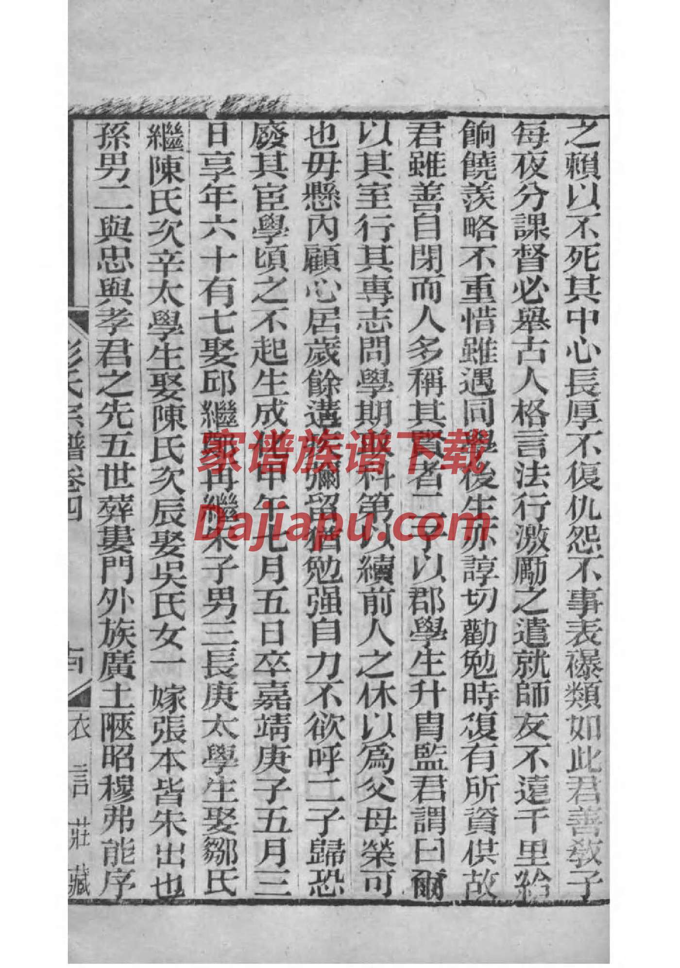 王世家族家谱