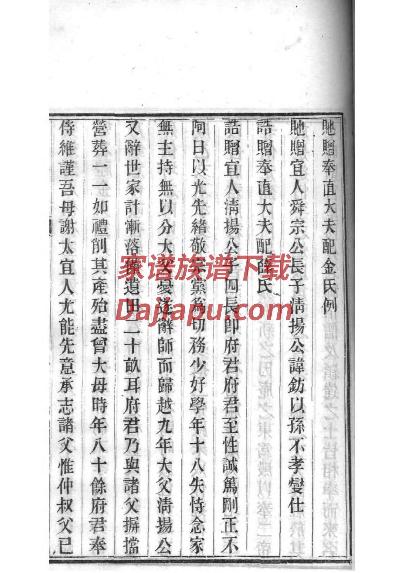 家谱简介