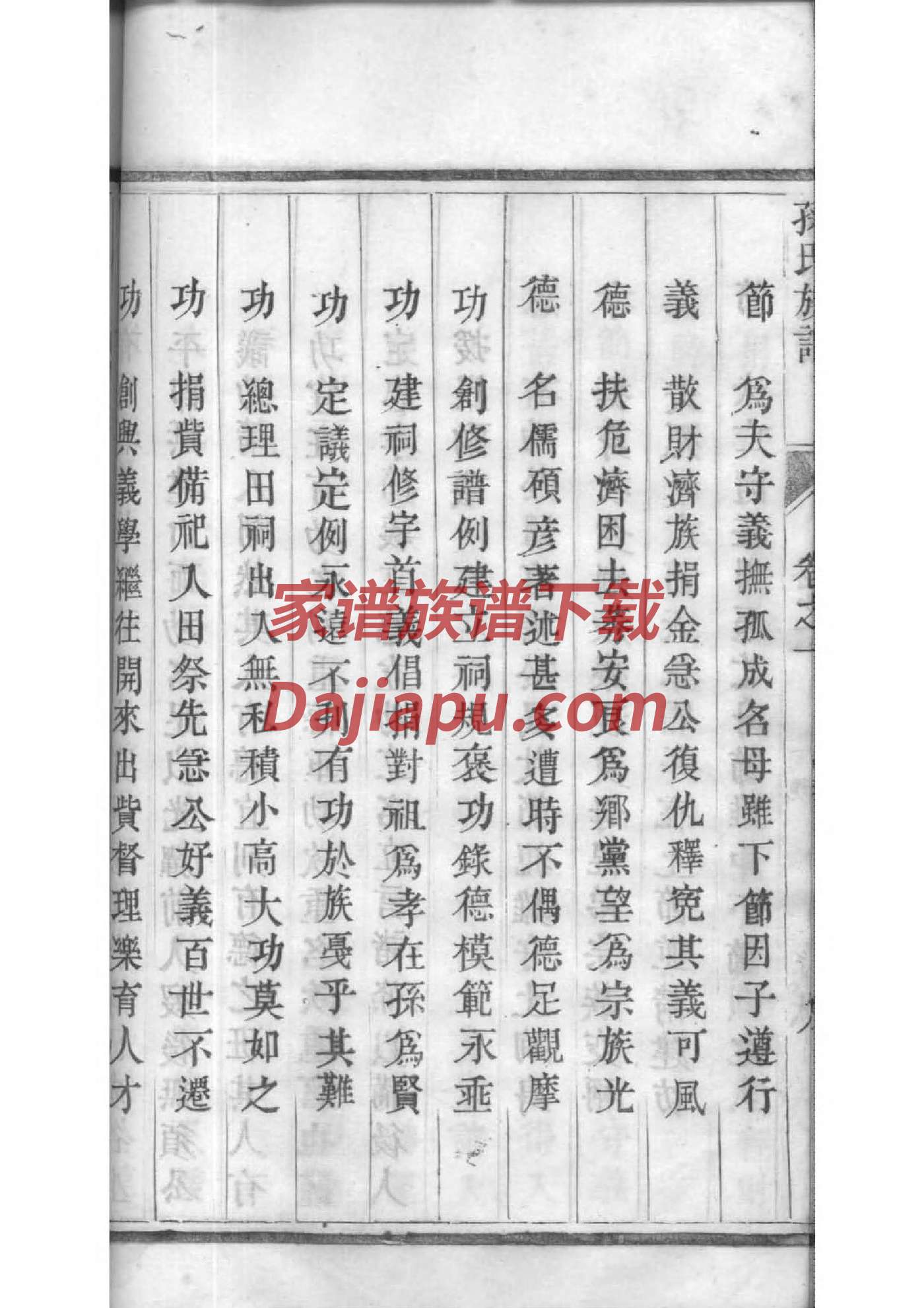 毕节杨大纲家谱