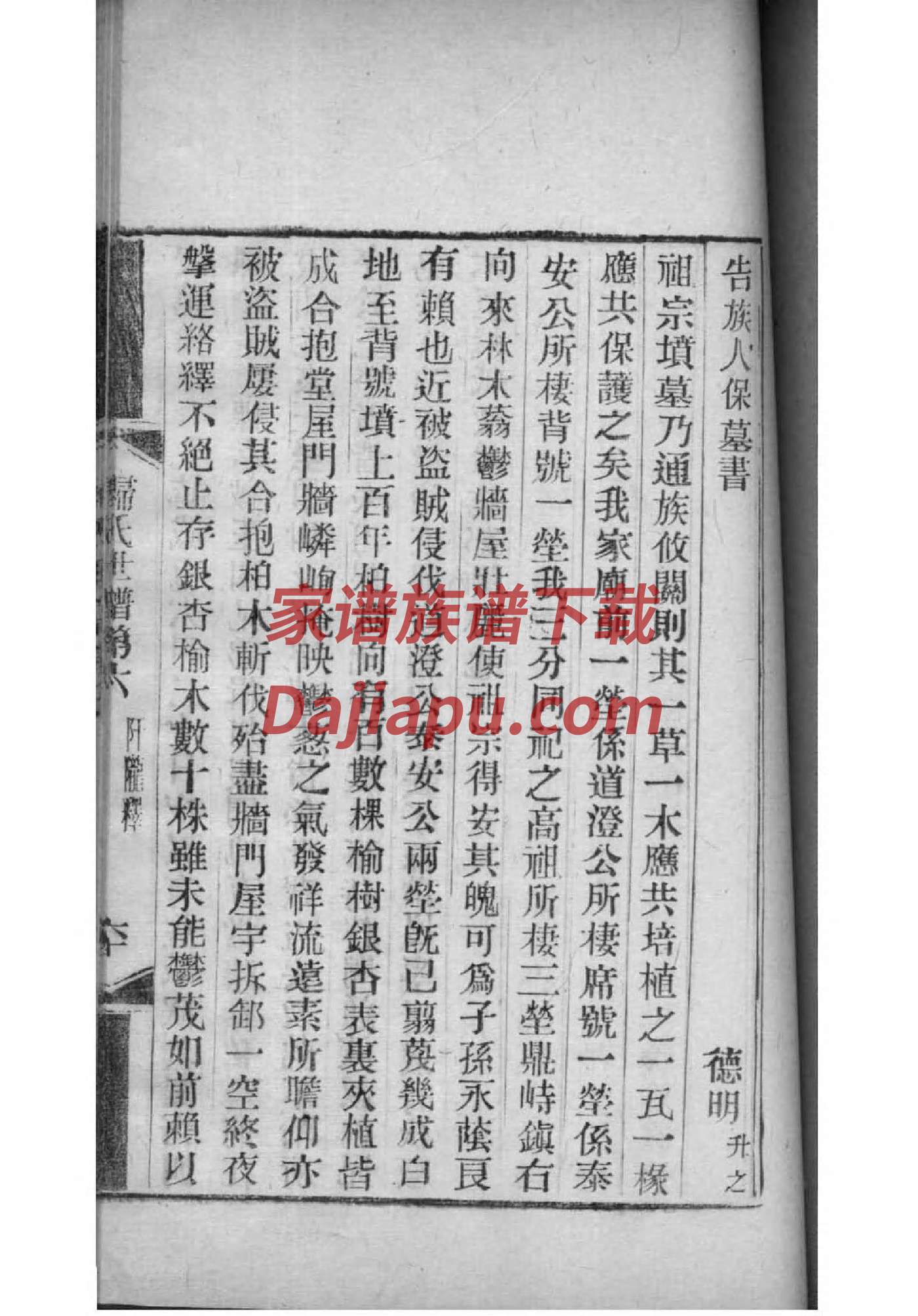 佐氏家谱所有字辈查询